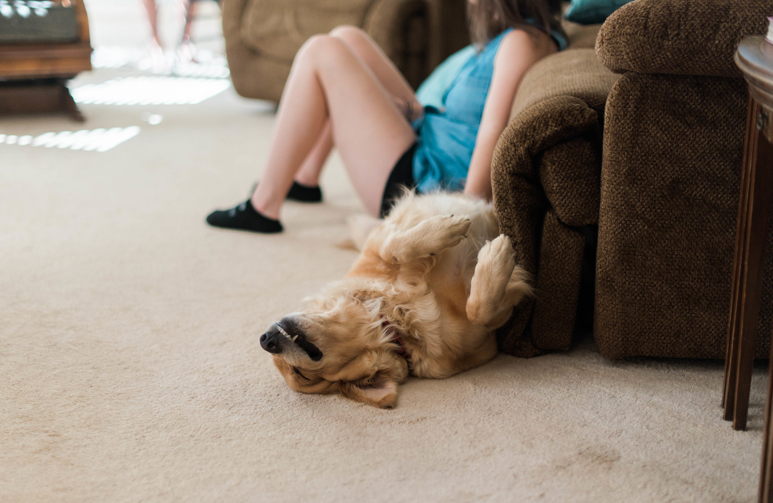 I mean, seriously?! Cutest doggo of all time. 