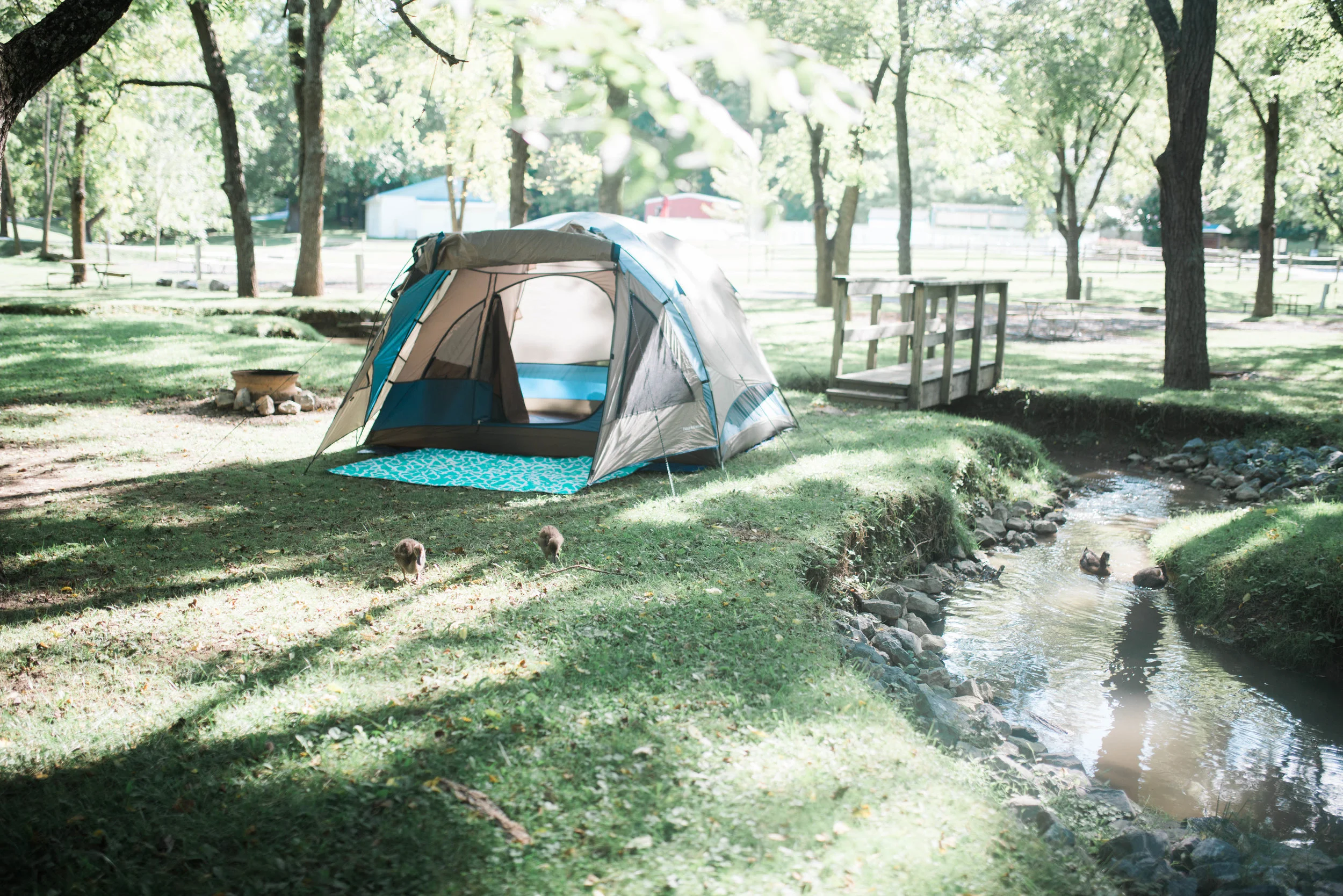 This was one of the coolest/most beautiful camping sites I've ever stayed at!