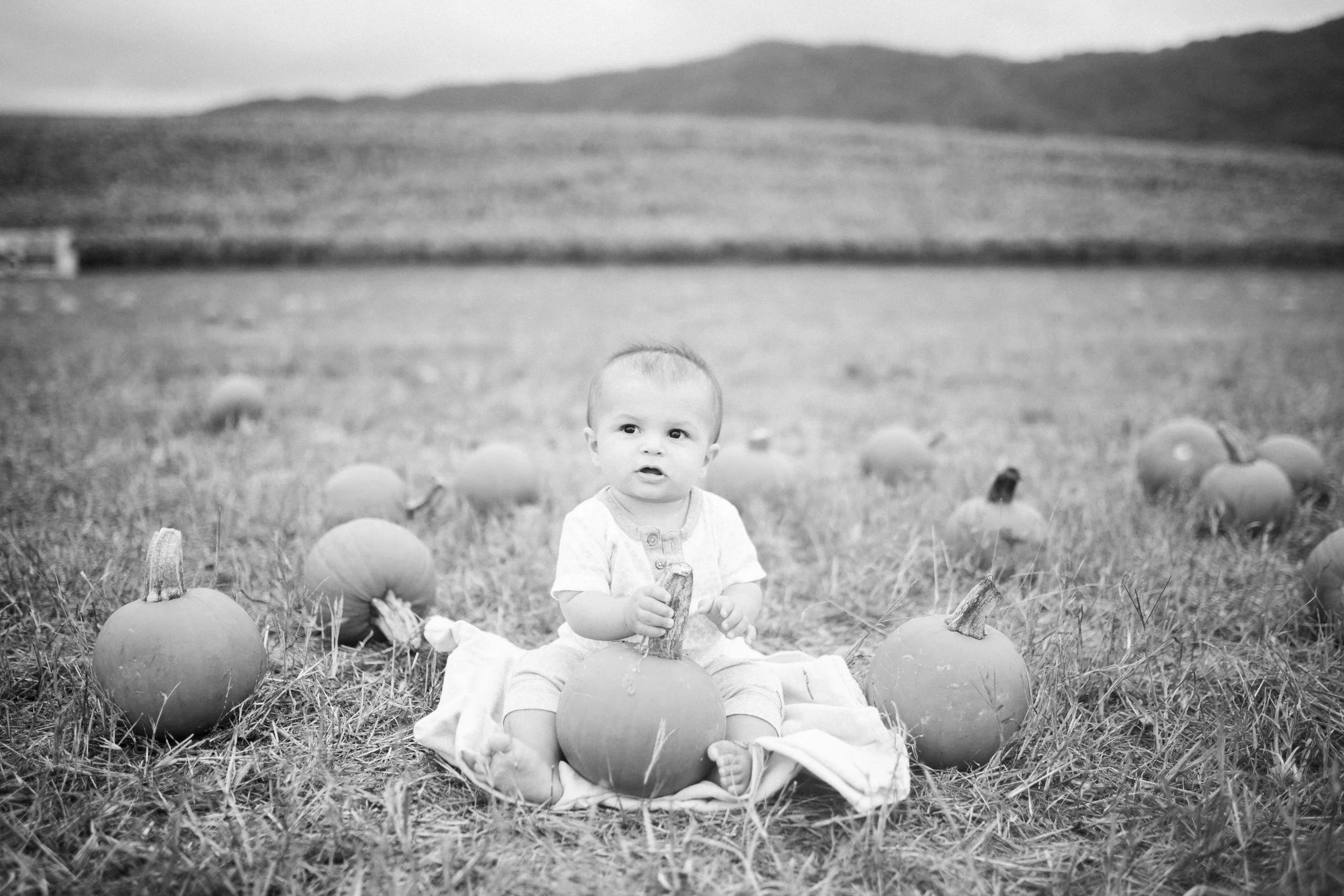 [Life with Ellis // Pumpkin Patch]