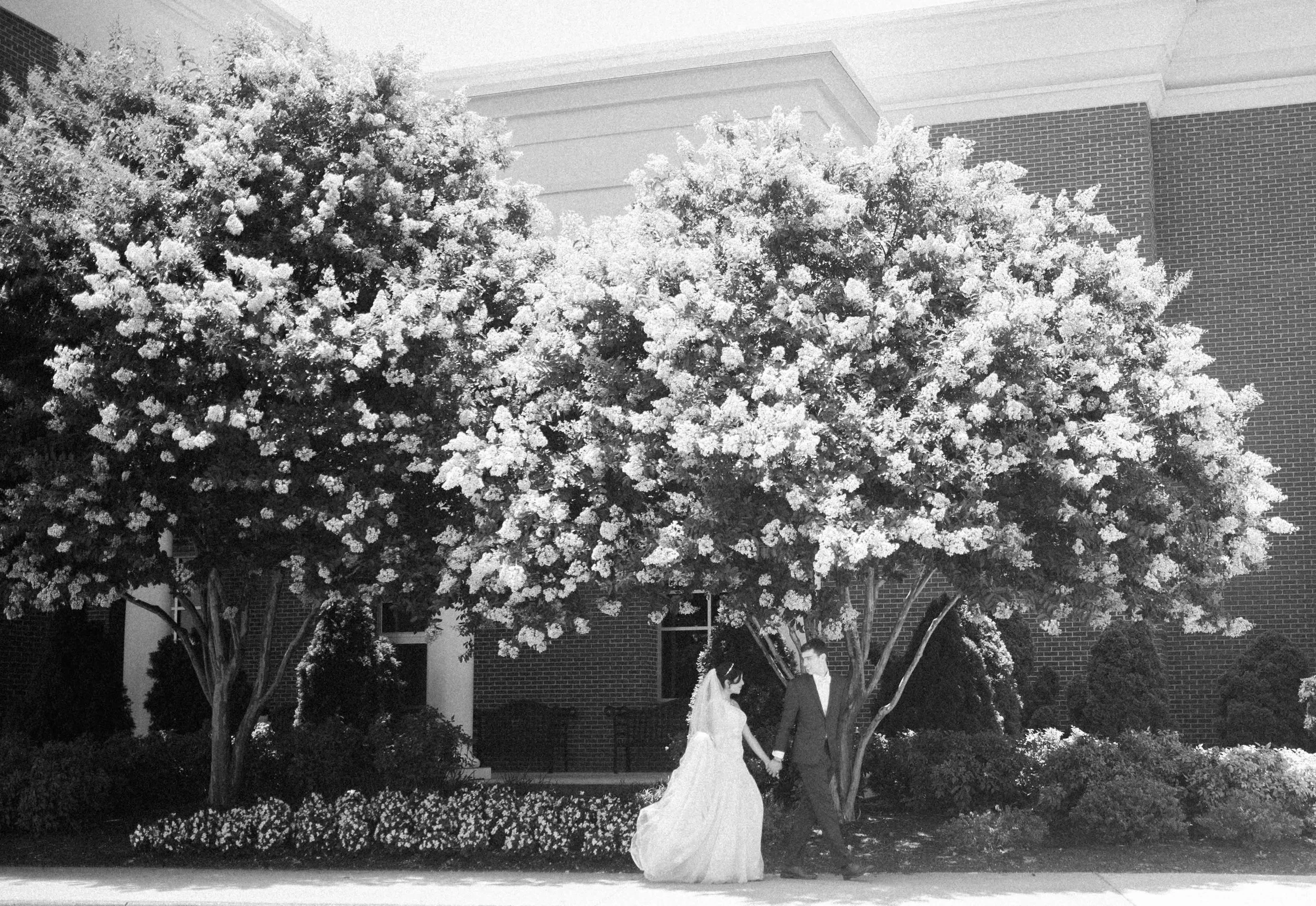 [Juan Pablo & Jimena // Lynchburg, VA] 