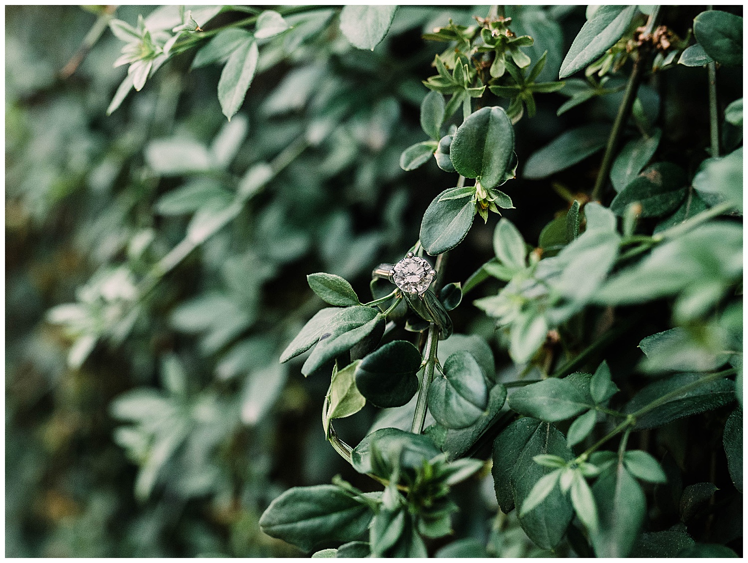 Michael and Mollie, Georgetown, Washington DC, Engagement Session, Aly Sprecher Creative