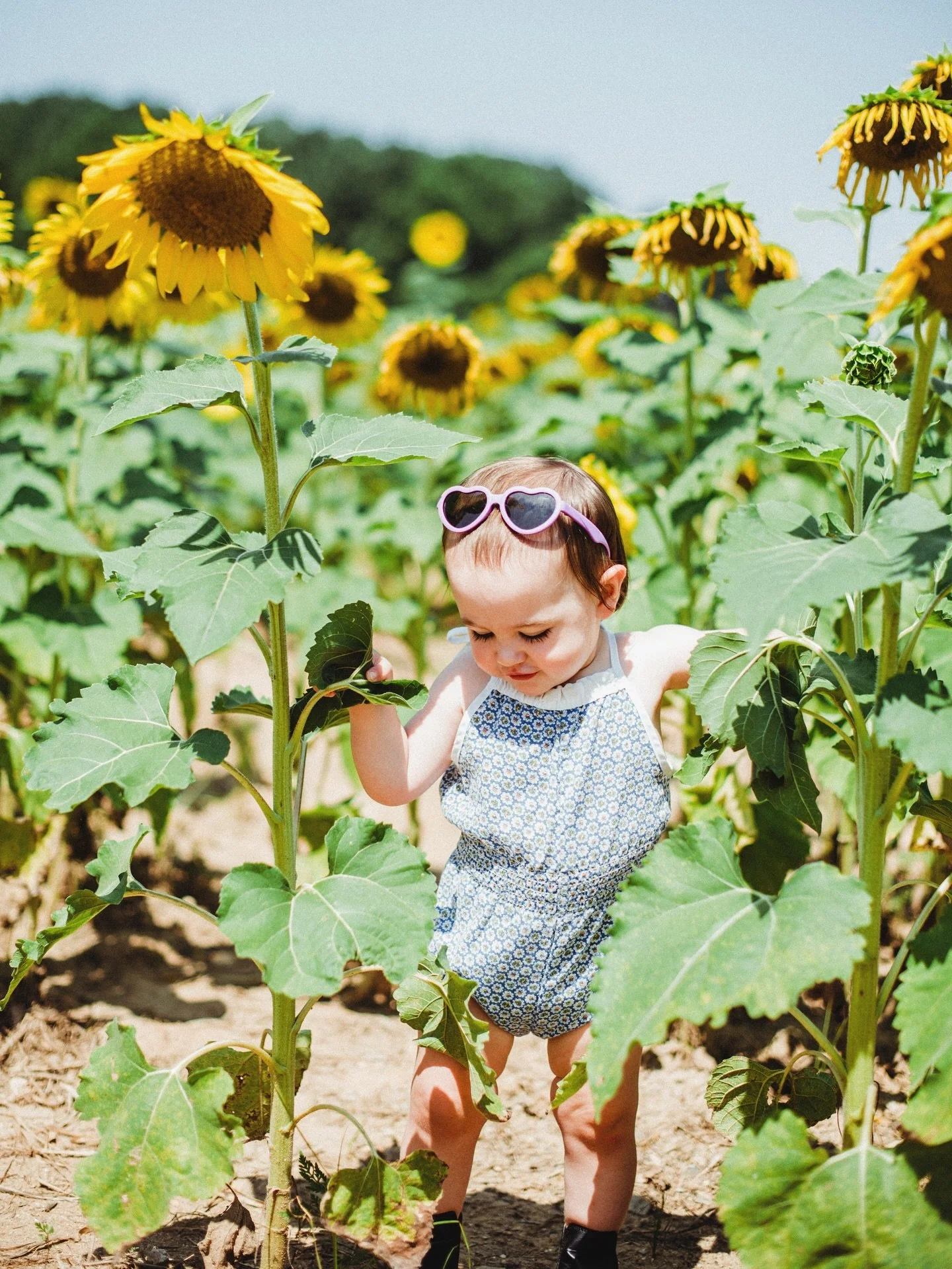 Still over here holding onto summer 🌻 ft. one of my favorite tiny humans ✨// been super busy behind the scenes over here between a brand new school year for my littles, travel, and culling, editing &amp; delivering lots of projects. I always say I&r