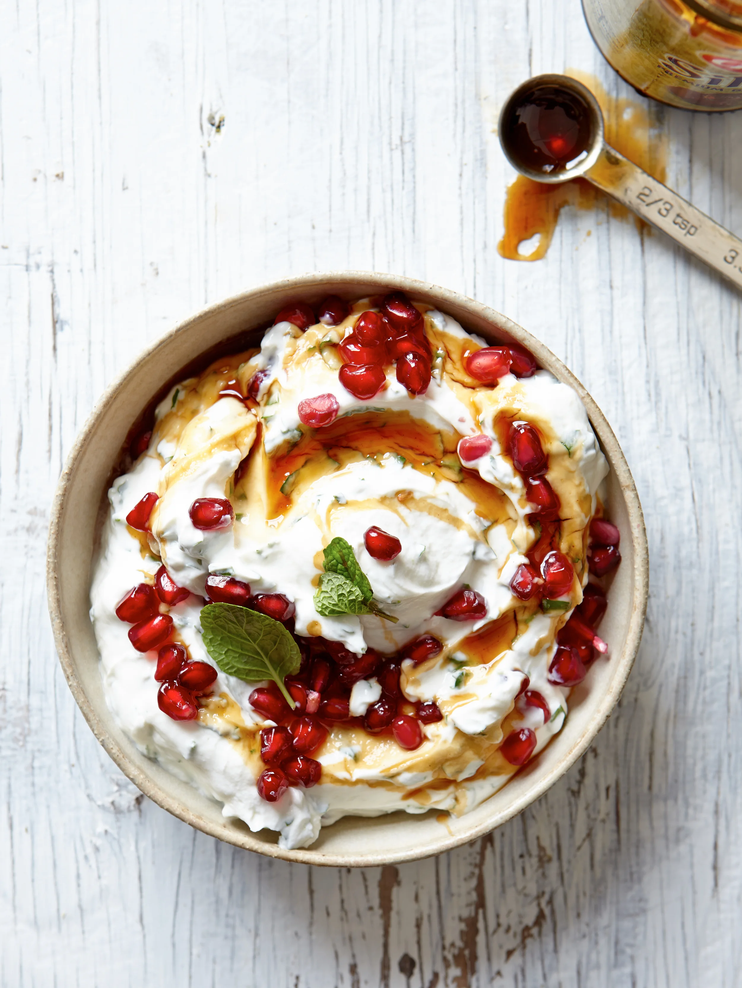 Charred_Eggplant_Yogurt_Sauce_12438.jpg