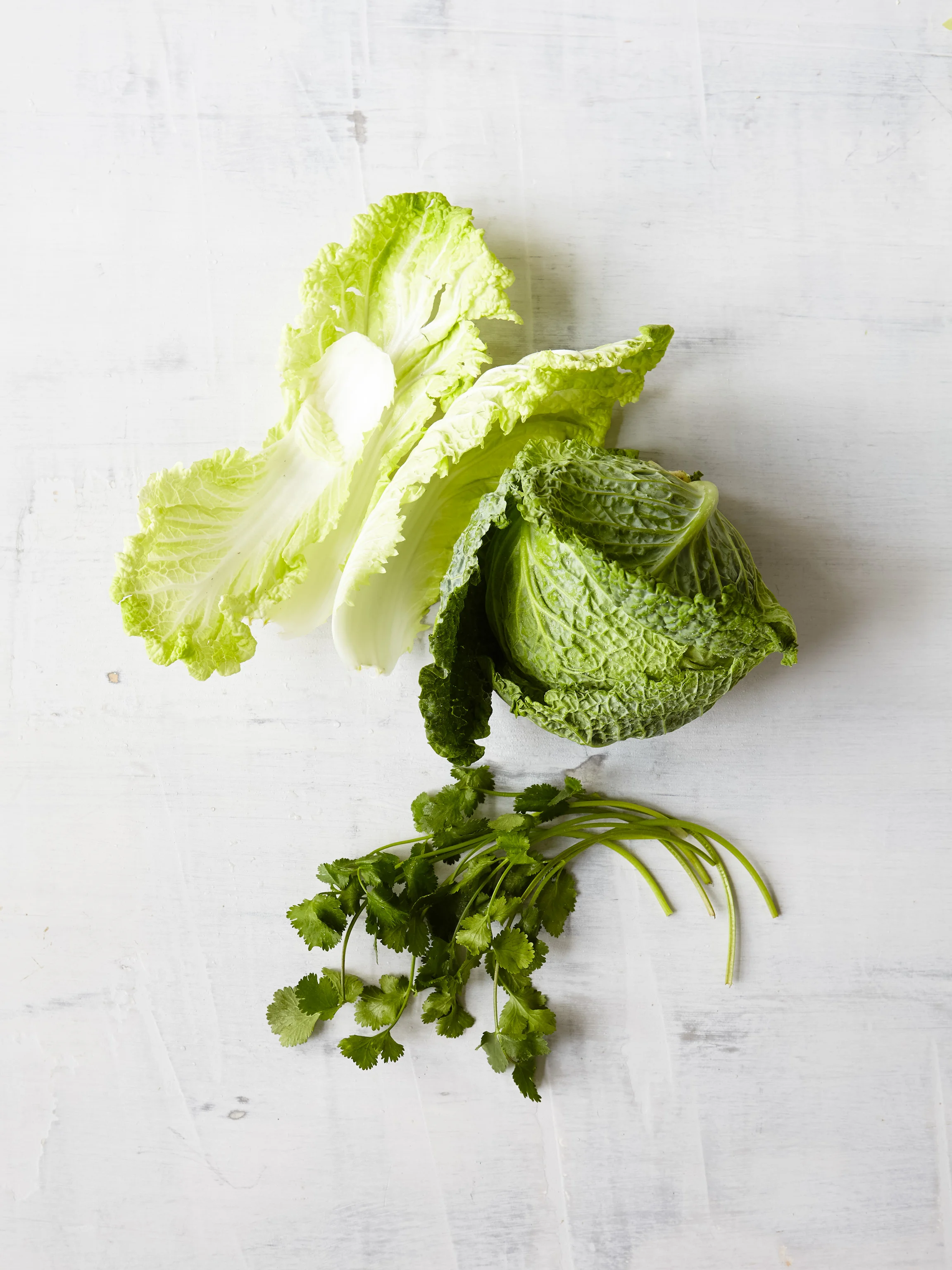KS_2014_03_VegTimes_011.JPG