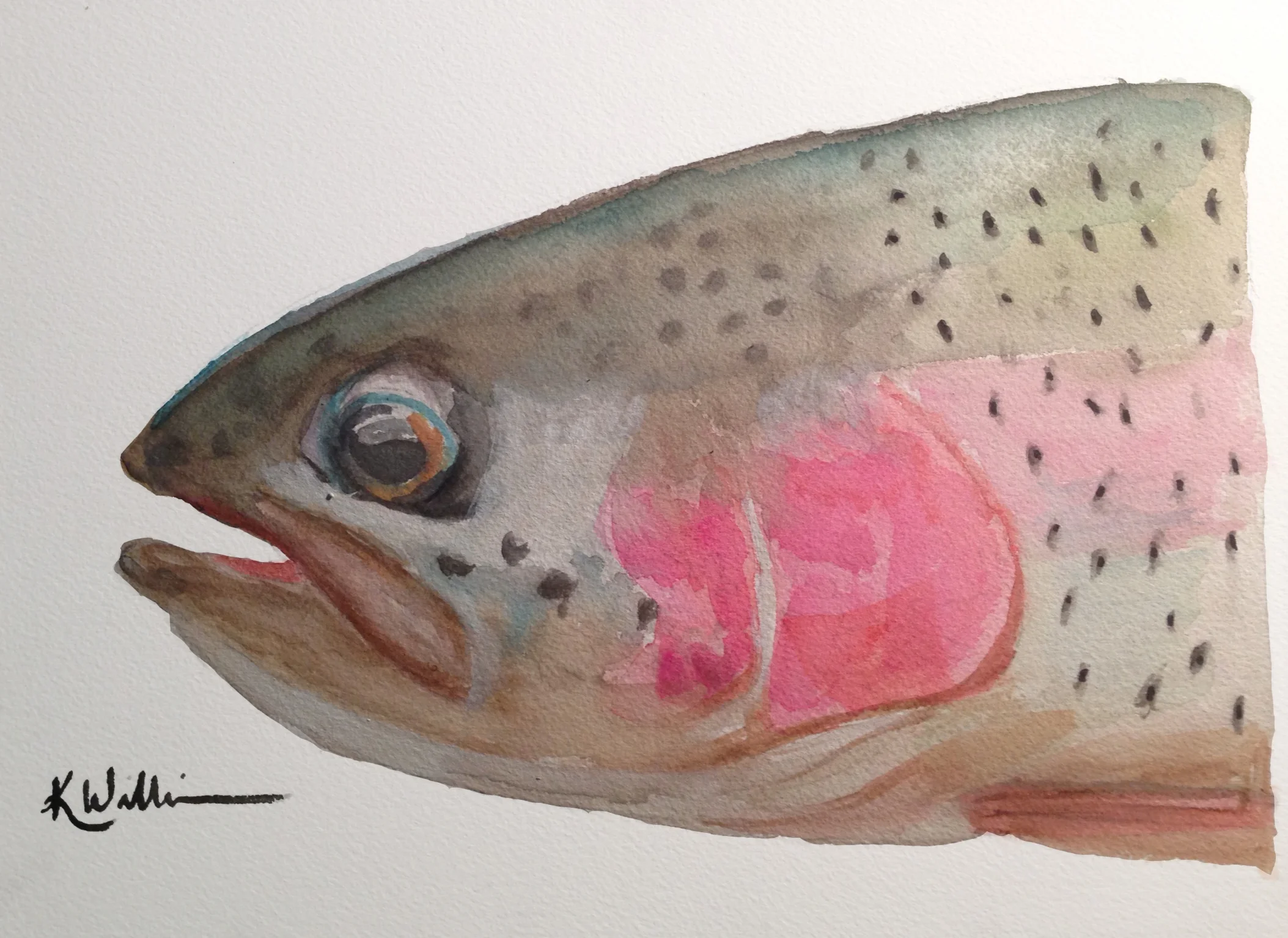 trout.jpg