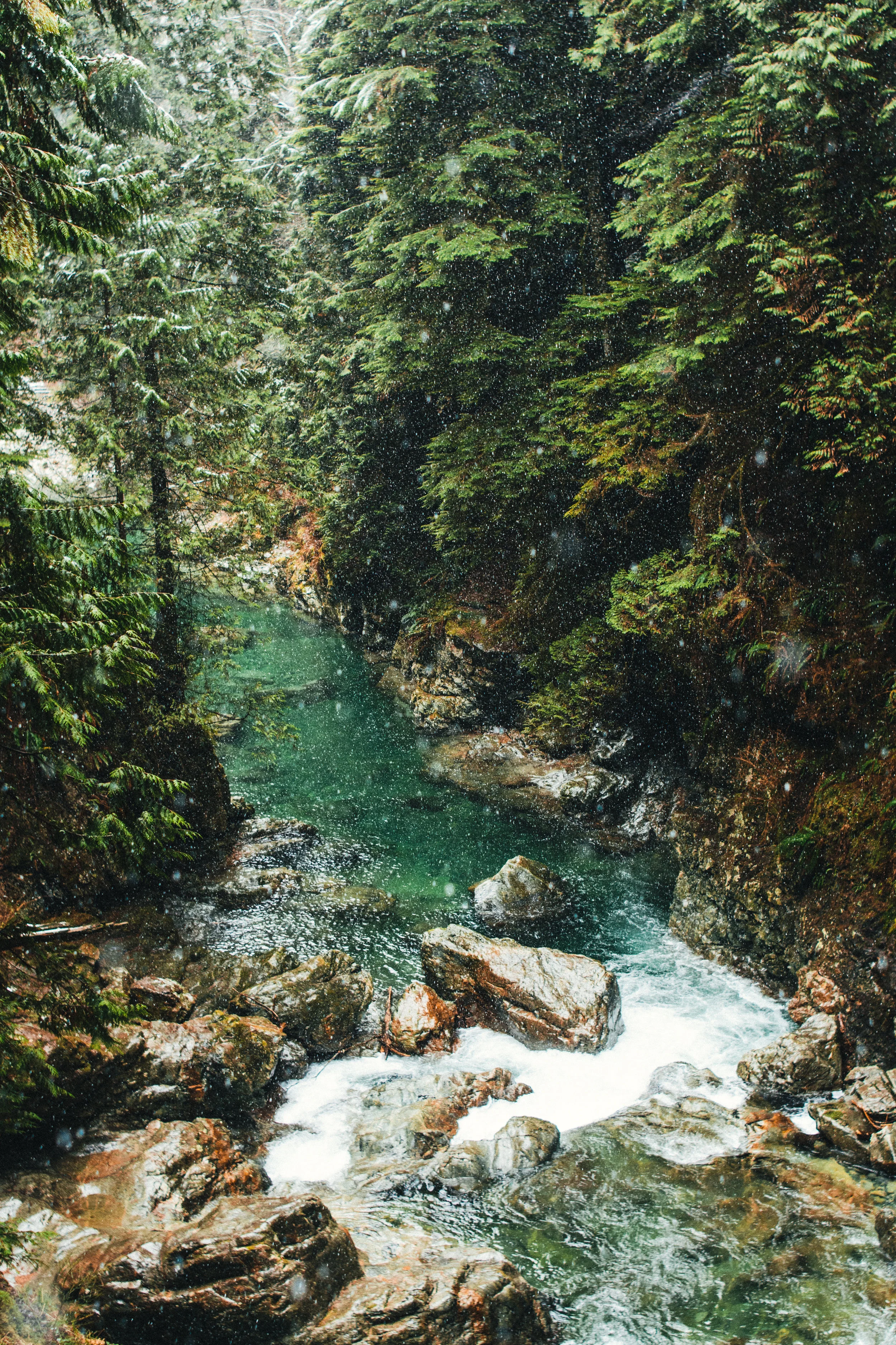 DSC_0427.jpg