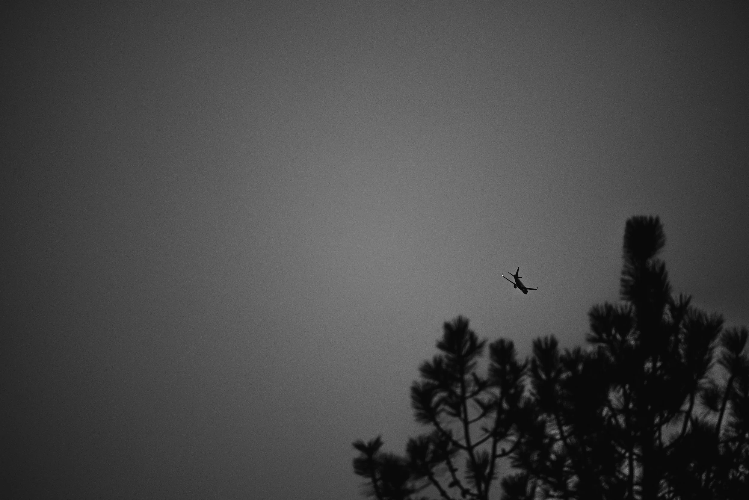 DSC_9633.jpg