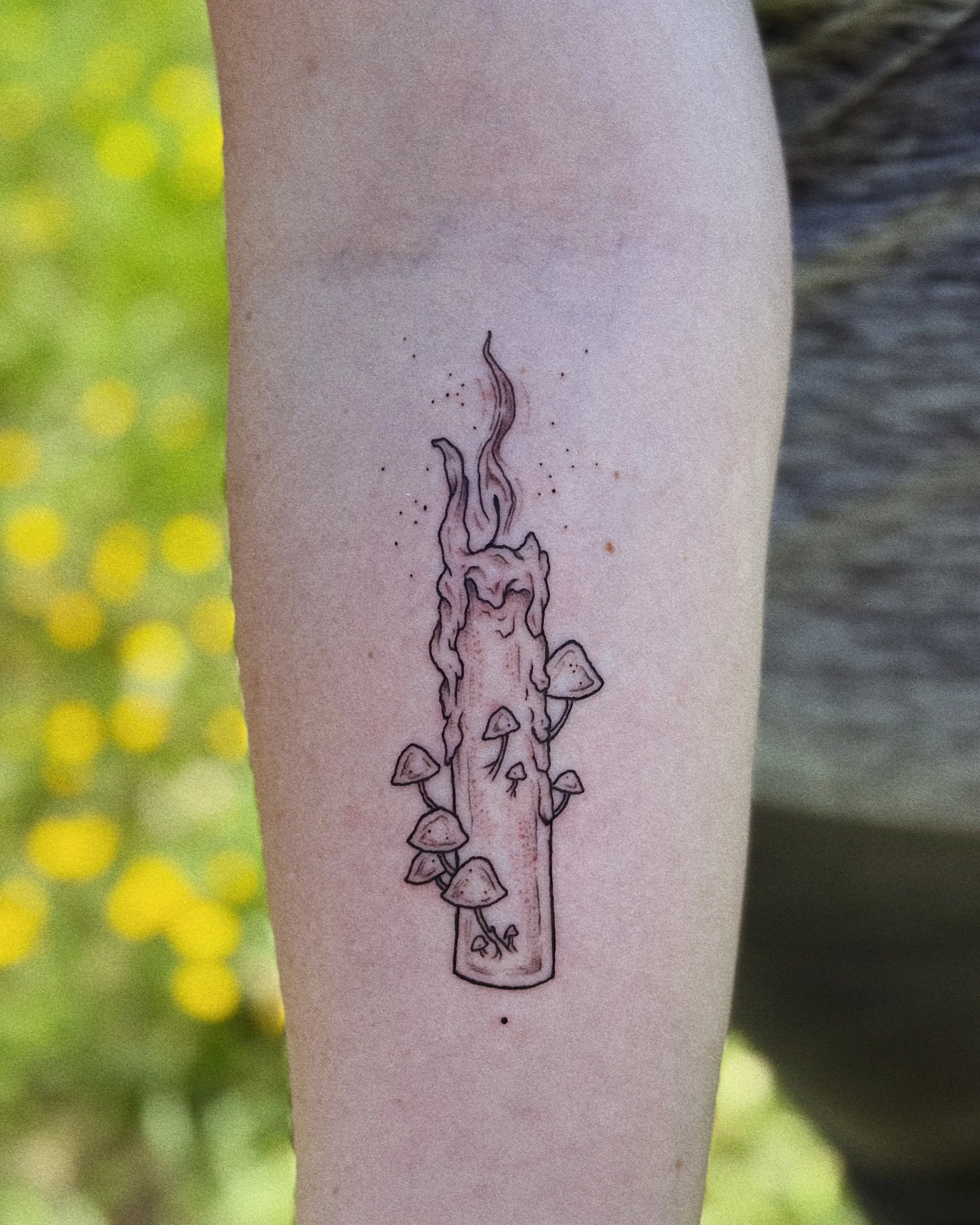       
  
    mushroom candle for a sweet client in Ōtautahi/Christchurch. Freehanded and machine made  


  
 #block-229c762a42924749bc83 {
    
    
    
  }

  #block-229c762a42924749bc83 .sqs-html-content {
    
    }

  #block-229c762a42924749bc