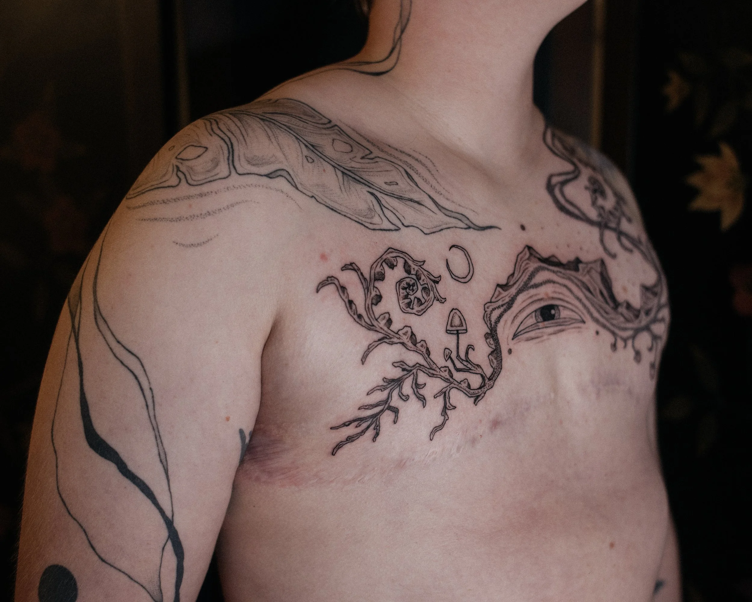 dsc_6242.jpeg