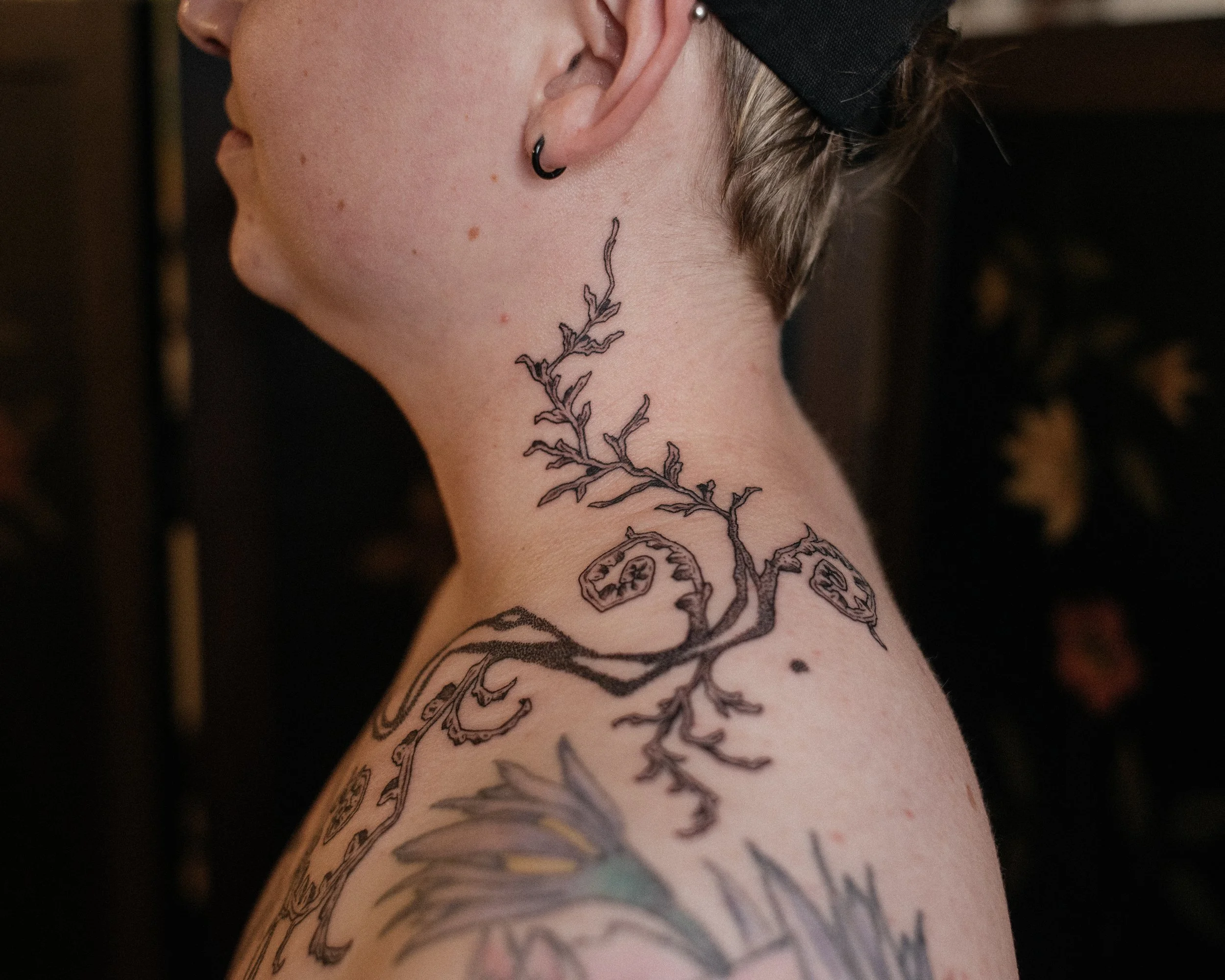 dsc_6245.jpeg