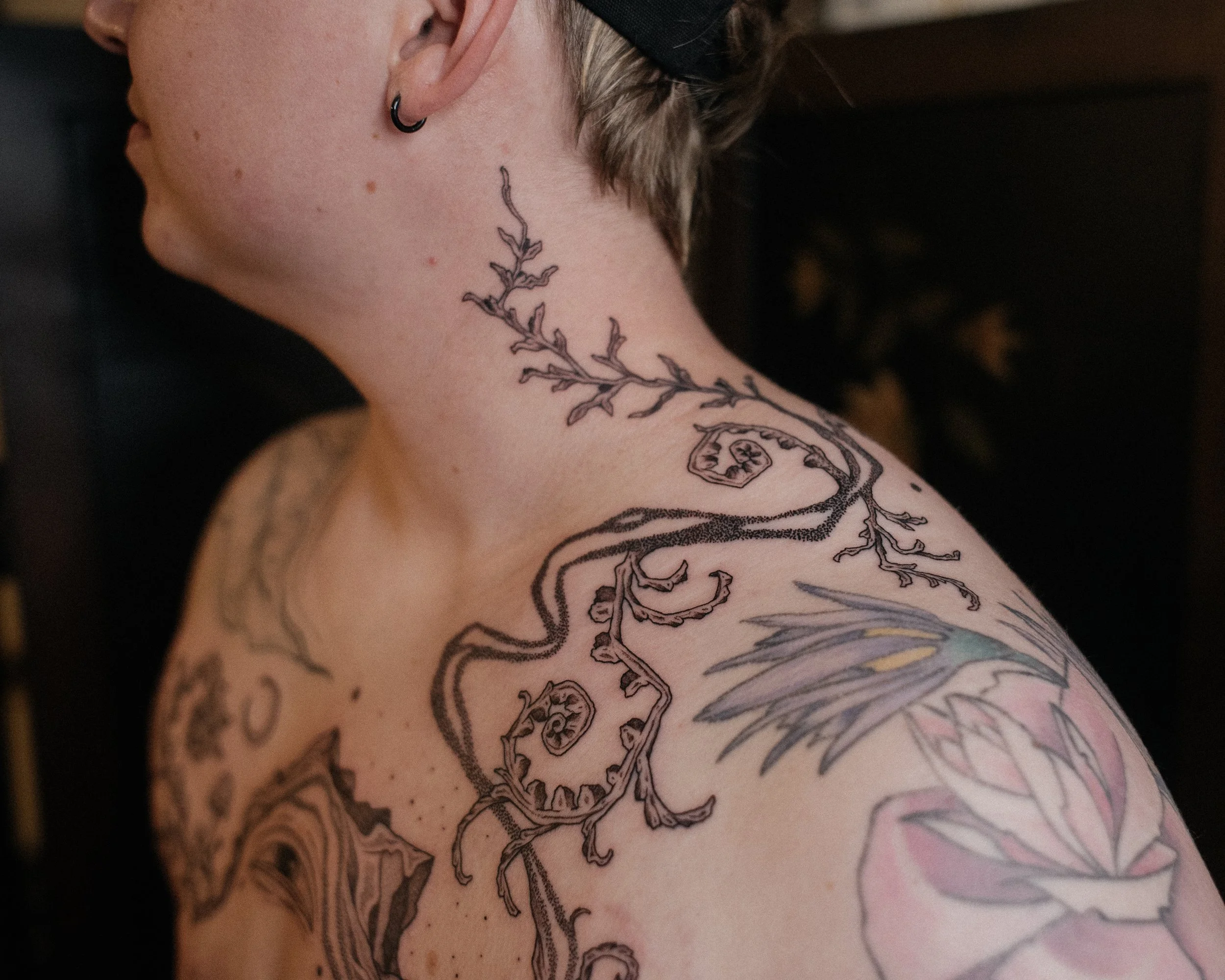 dsc_6249.jpeg