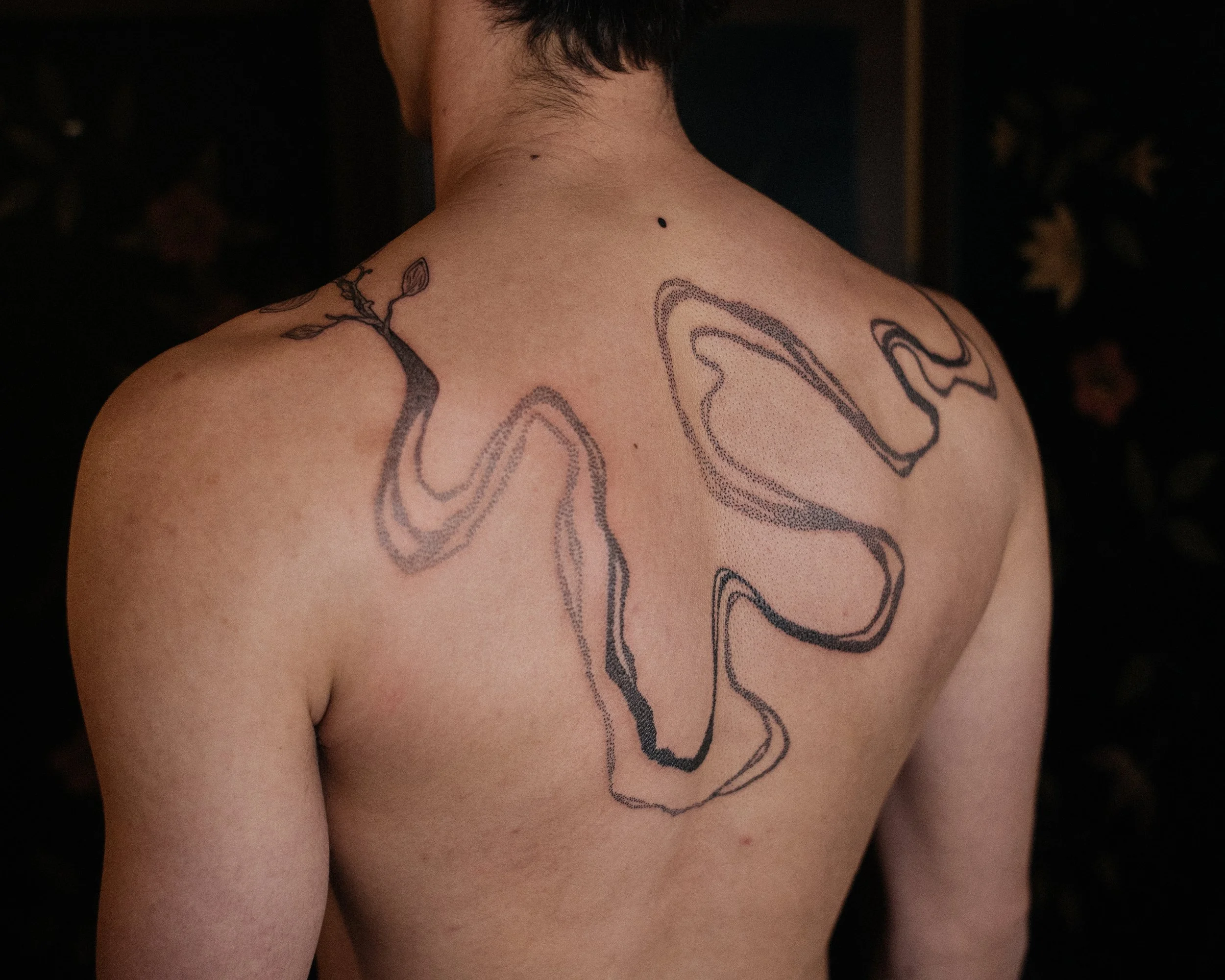 dsc_6259.jpeg