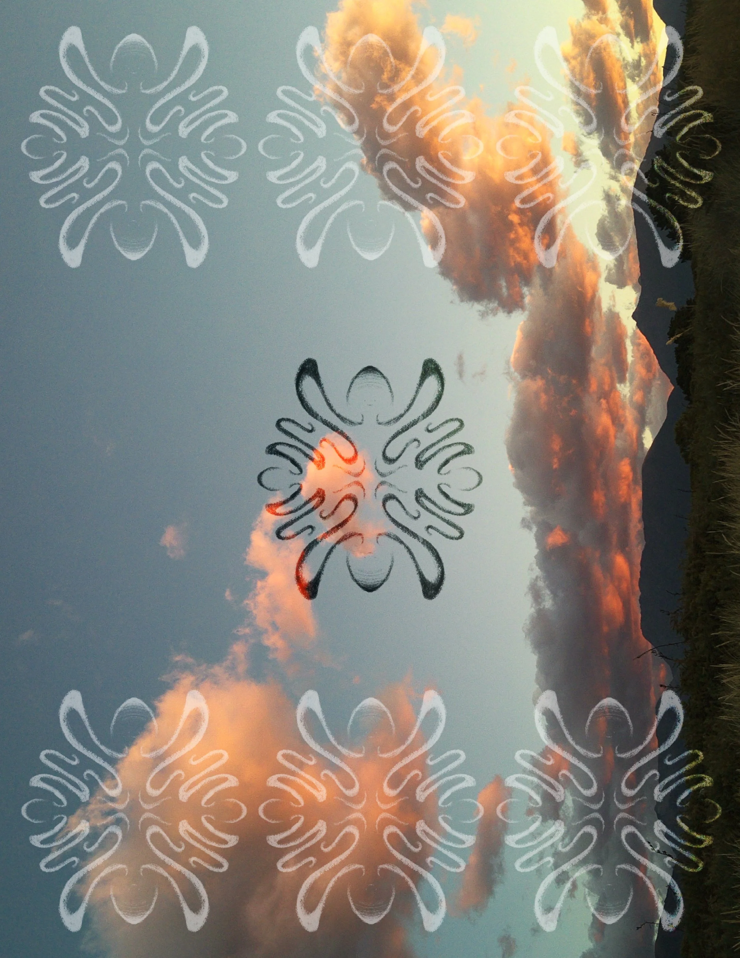 IMG_2698.jpeg