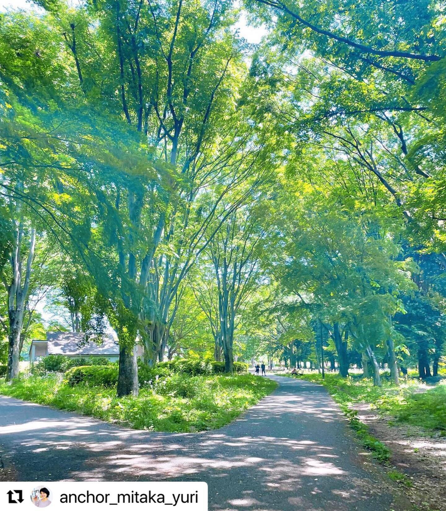 ★★★

ゴールデンウィーク明けのご予約
随時受付中です‼️
夏に向けての体づくりサポートいたします！

#Repost @anchor_mitaka_yuri with @make_repost
・・・
⁡
ゴールデンウィークも終盤ですね🎏
⁡
レジャーを満喫した方、お仕事に奔走された方
レッスンの時に色々な話を聞くのが楽しみです😊
 
お天気がいいのは嬉しいですが
強い日差しと暑さで
少し体は疲れてしまいました😓
⁡
連休が明けたら夏に向けて
また少しずつ身体作りを再開していきましょう