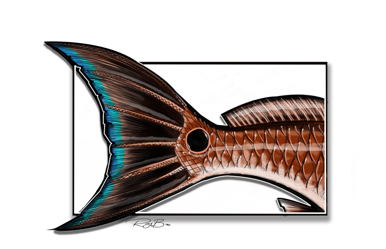 Redfish Tail Clear Fishing Shirt — Ray's Custom Art