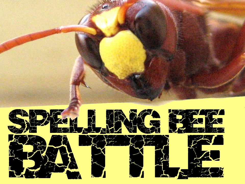 Spelling Bee Battle.jpg