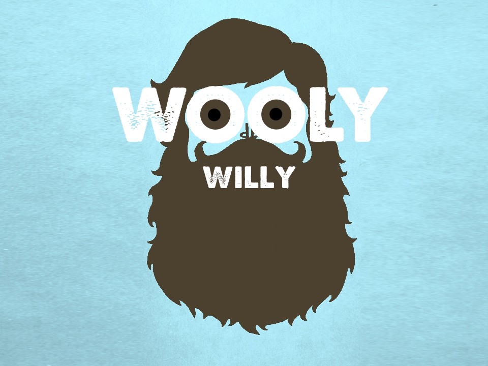 Wooly Willy.jpg