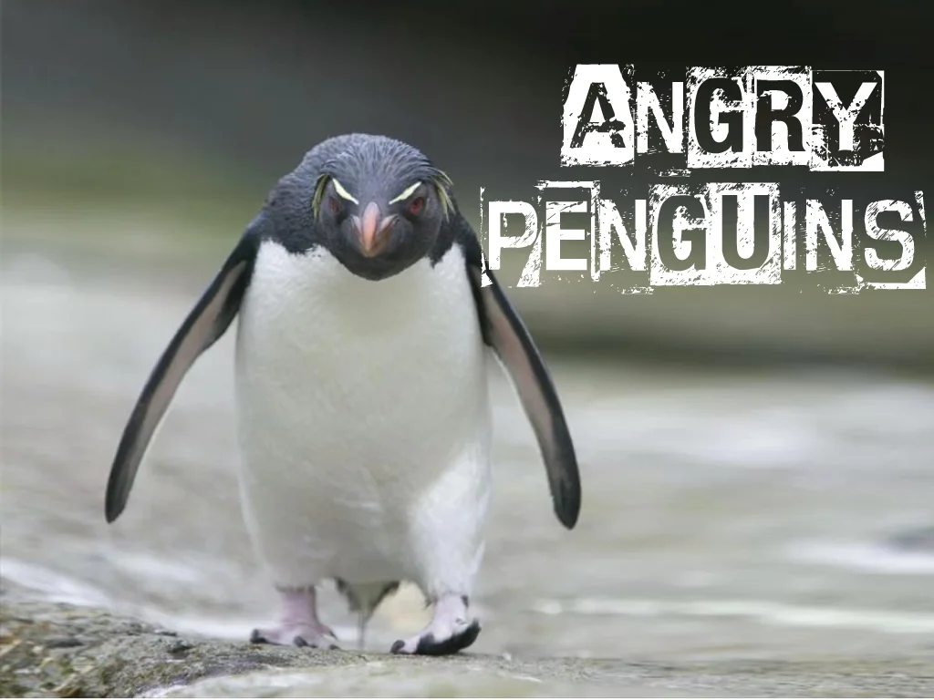 Angry Penguins.jpg