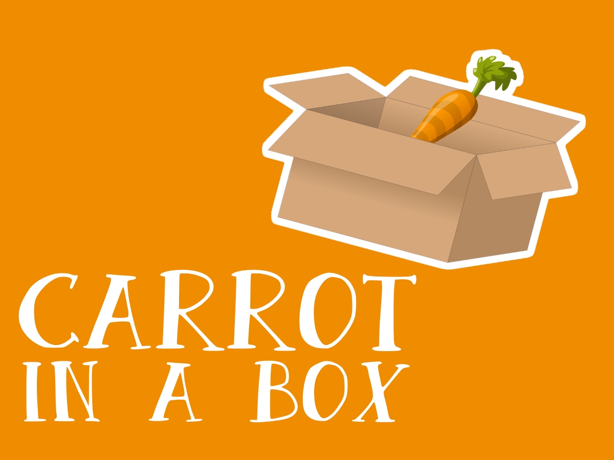 Carrot in a box.jpg