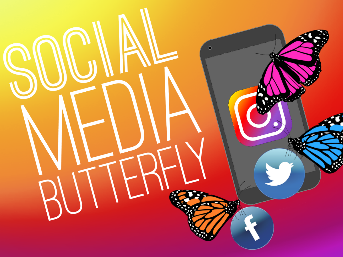social media butterfly youth group collective game