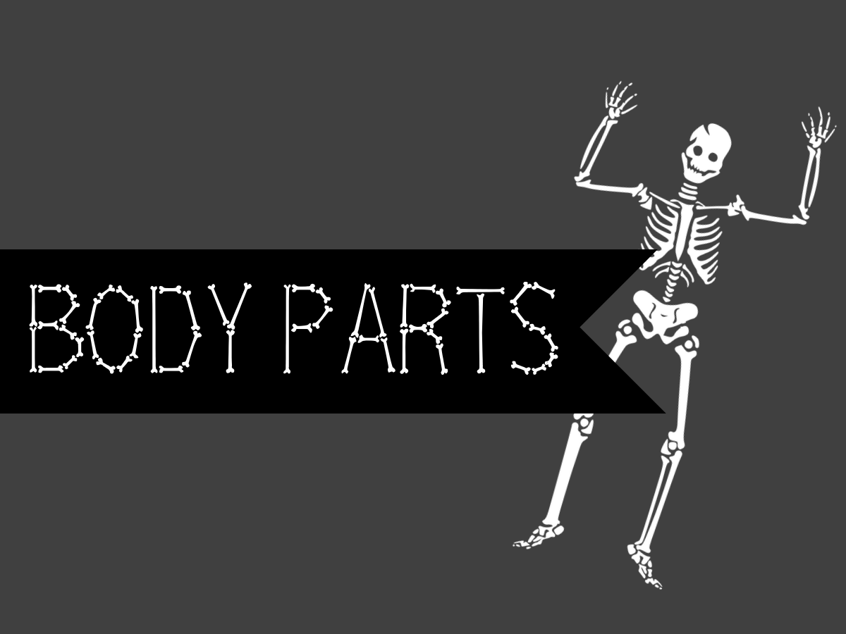 Body Parts SD.png
