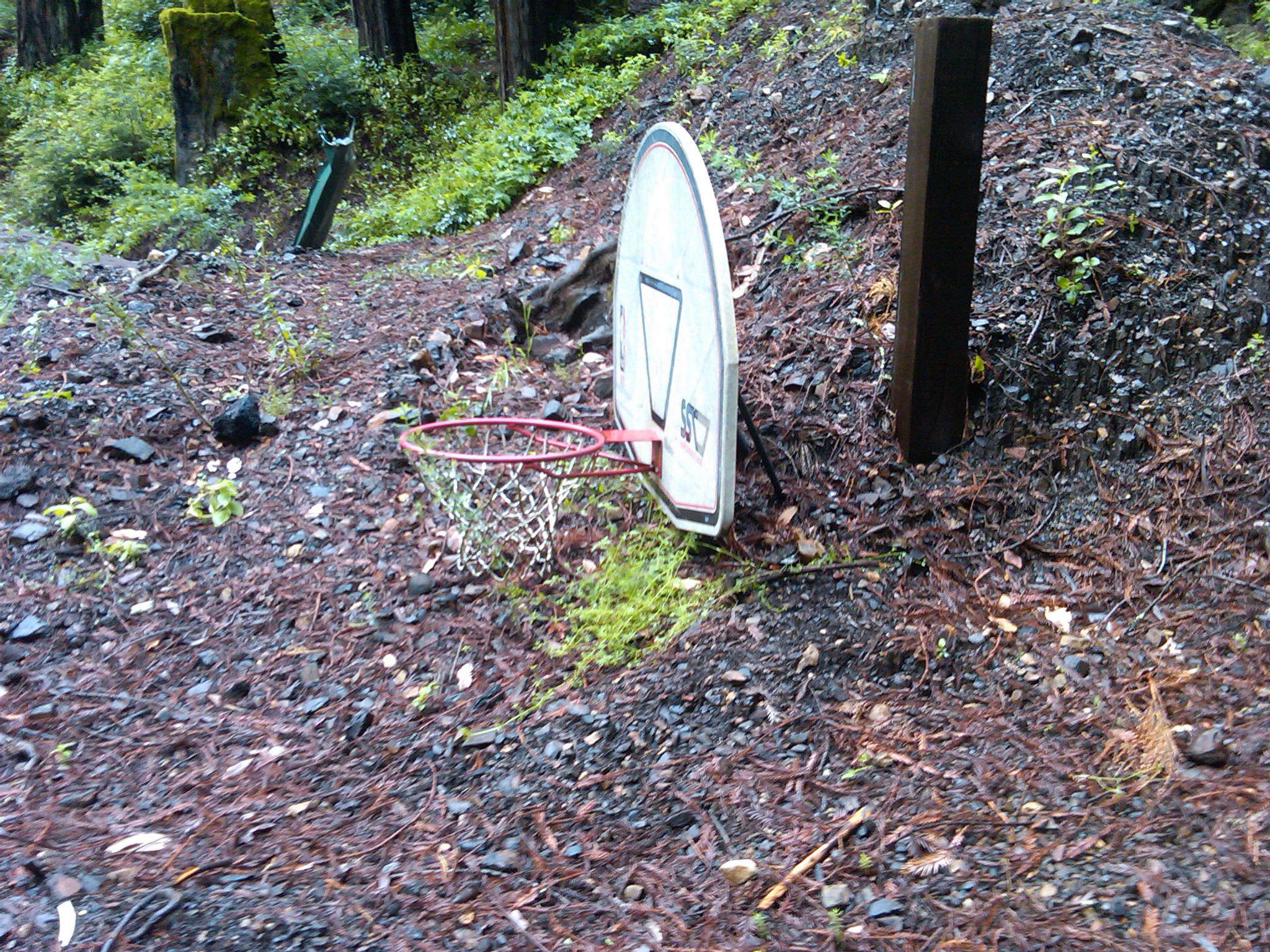 IMG00071-20110518-1003.jpg