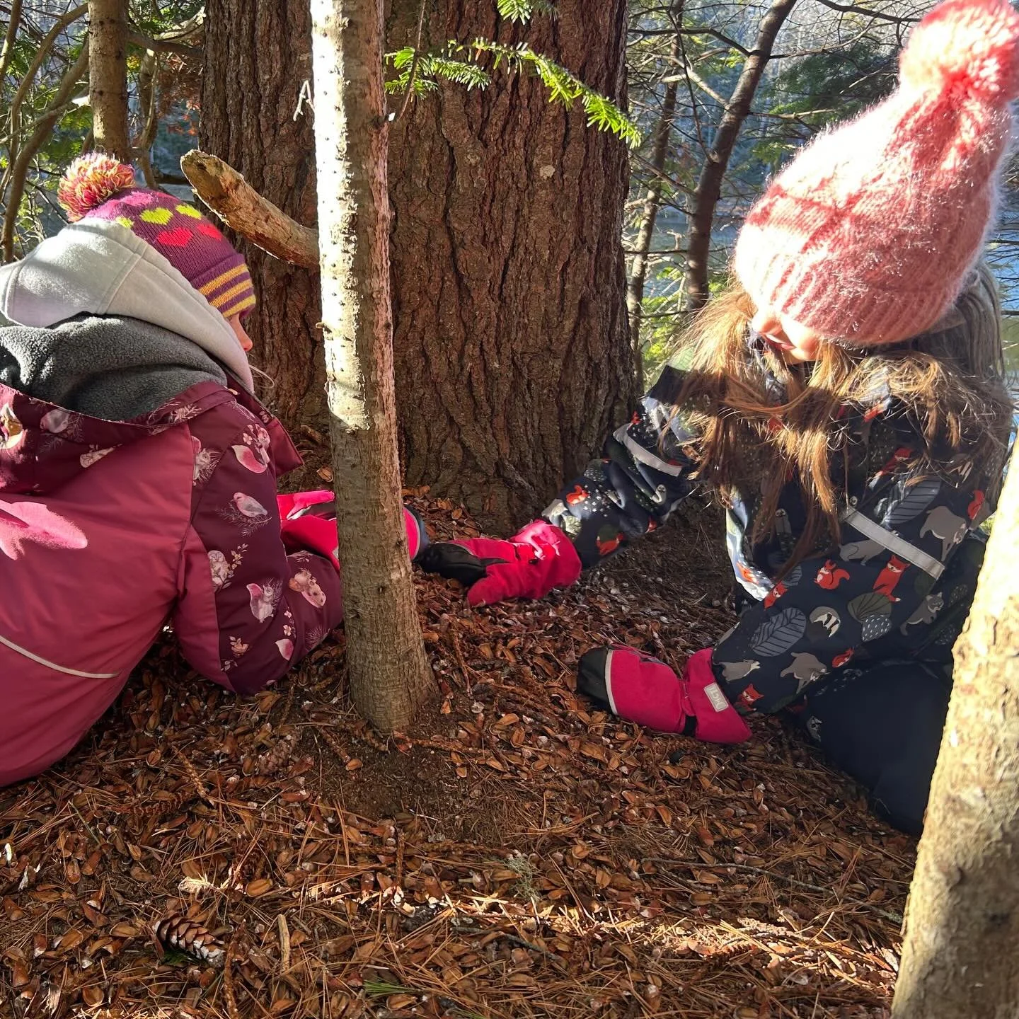 Have you ever felt a kindred connection to an animal habit? Today in&nbsp;Eco-Flex, students discovered just how much they have in common with&nbsp;the red and gray squirrels who call the Maine woods home sweet home.

Similar to the ways we stock our