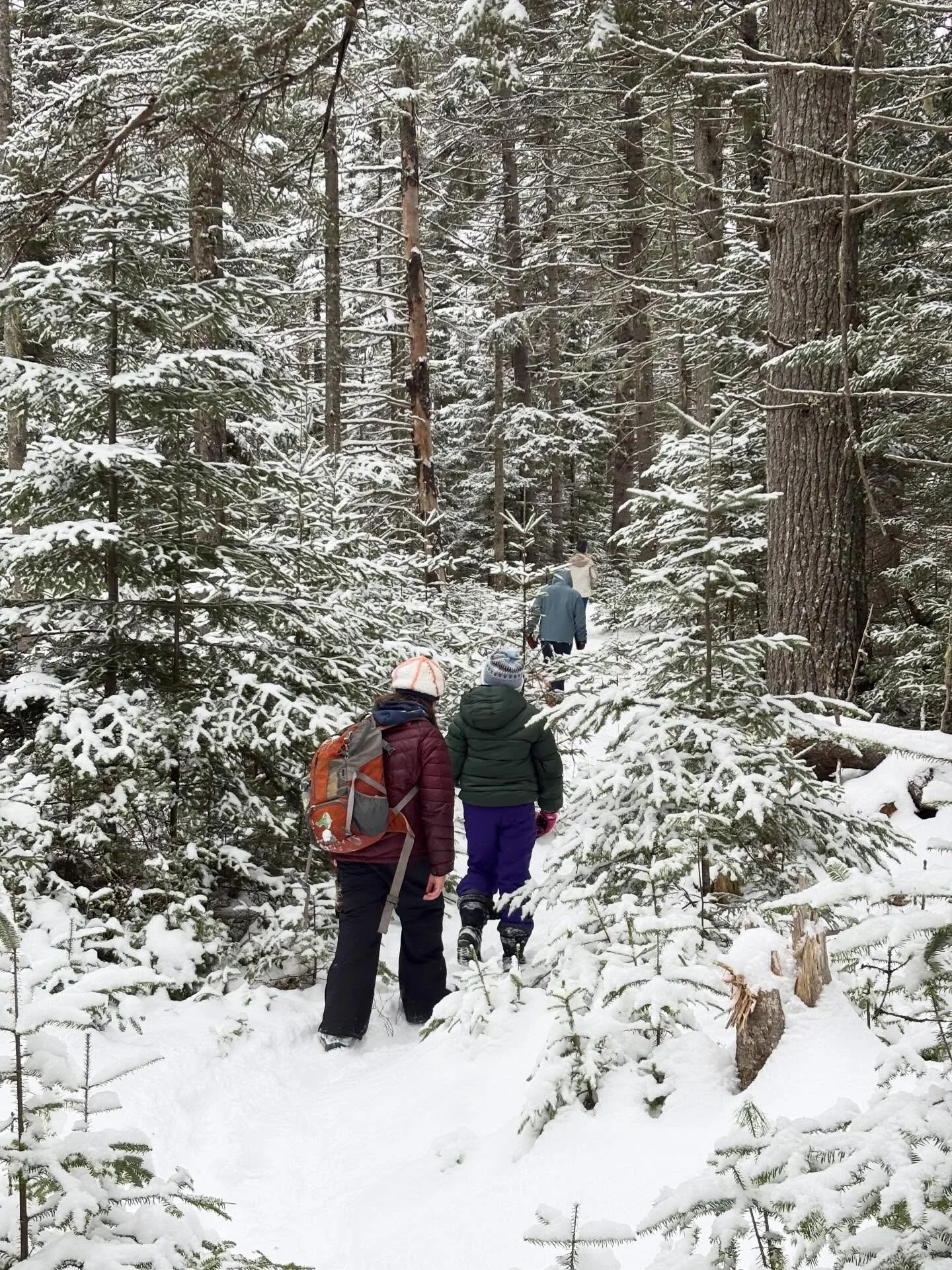Back to school in a winter wonderland! This morning our Alpine students wrote new-year intentions, tracked otters, and (not pictured) reviewed exponents and scientific notation to find that the sun is 1.29 million times the size of the earth! ❄️🌎☀️