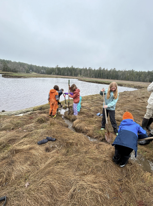 Screenshot 2025-07-23 at 11.41.21 AM.png