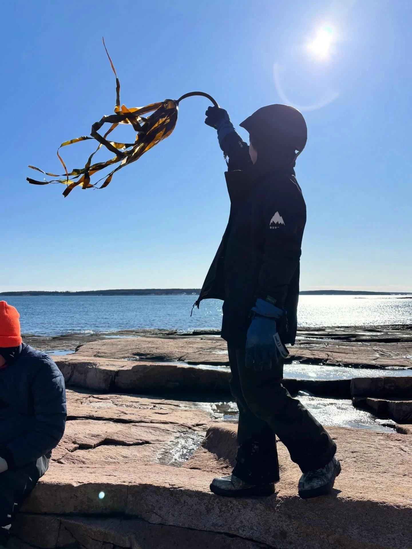 Snow, sunshine, ocean, learning: a peek at a recent Alpine outing! 🌞
