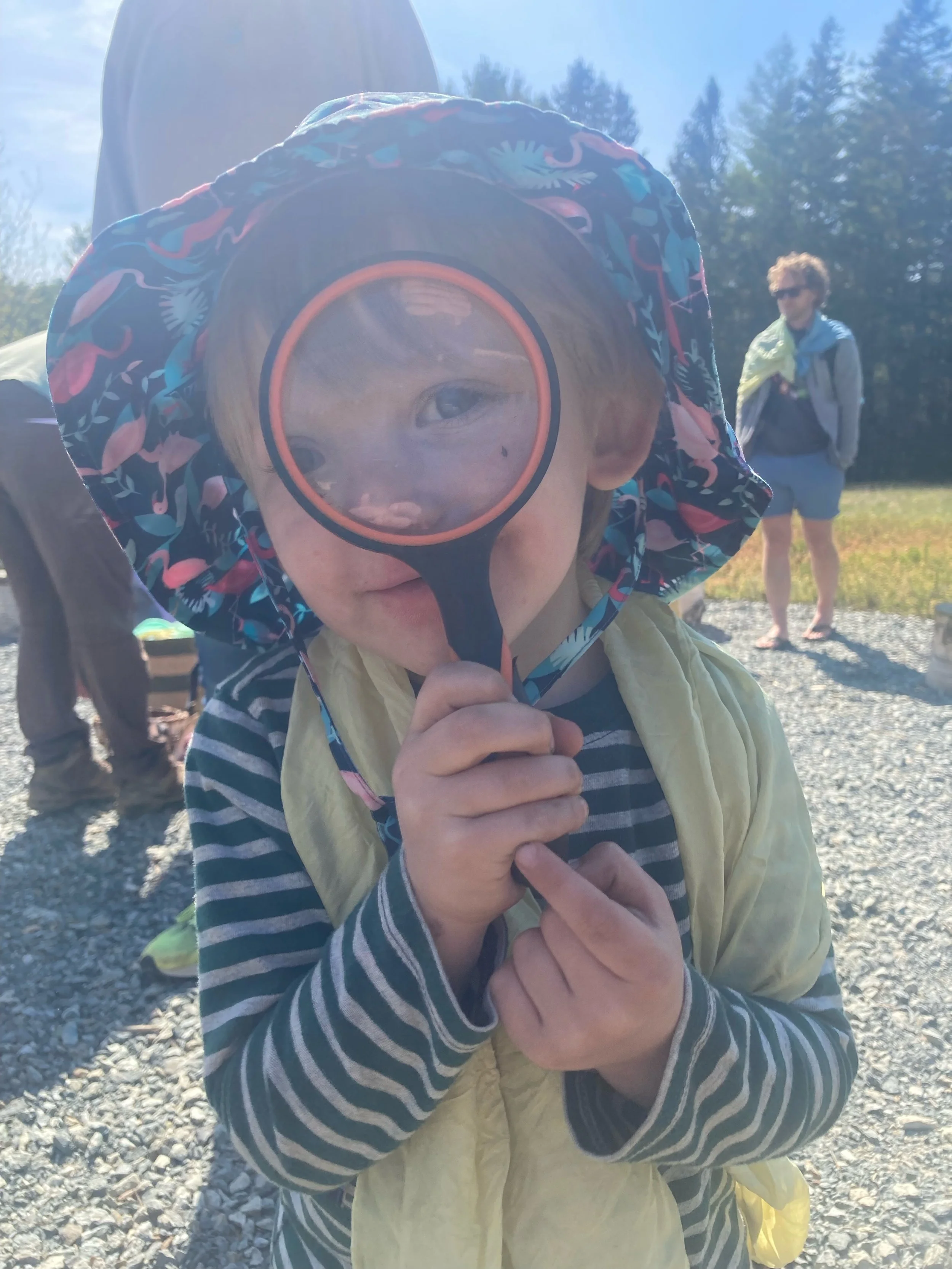 Fall Series Wonder Walk