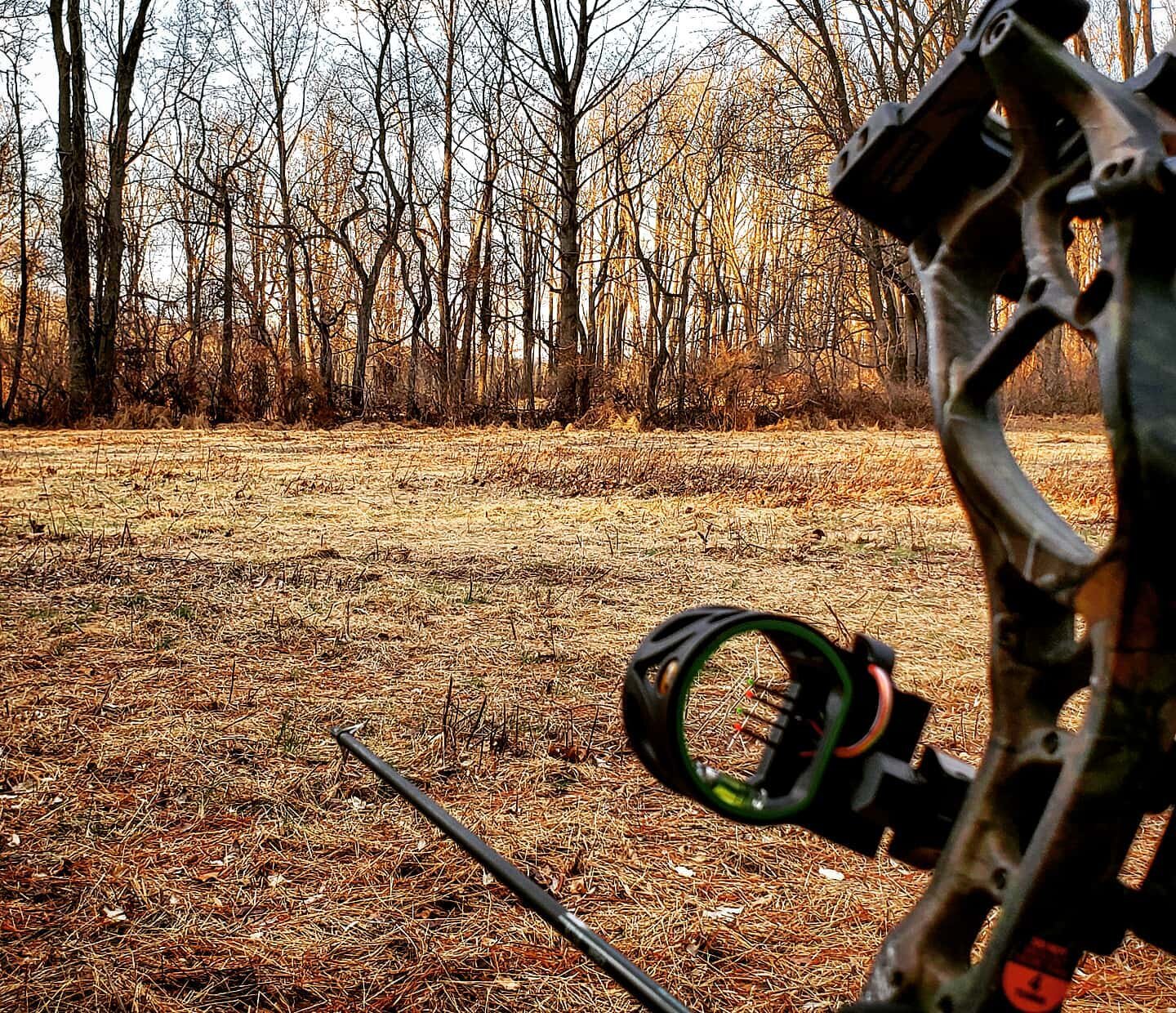 Perfect day for the hunt, 1wk left #archeryhunting