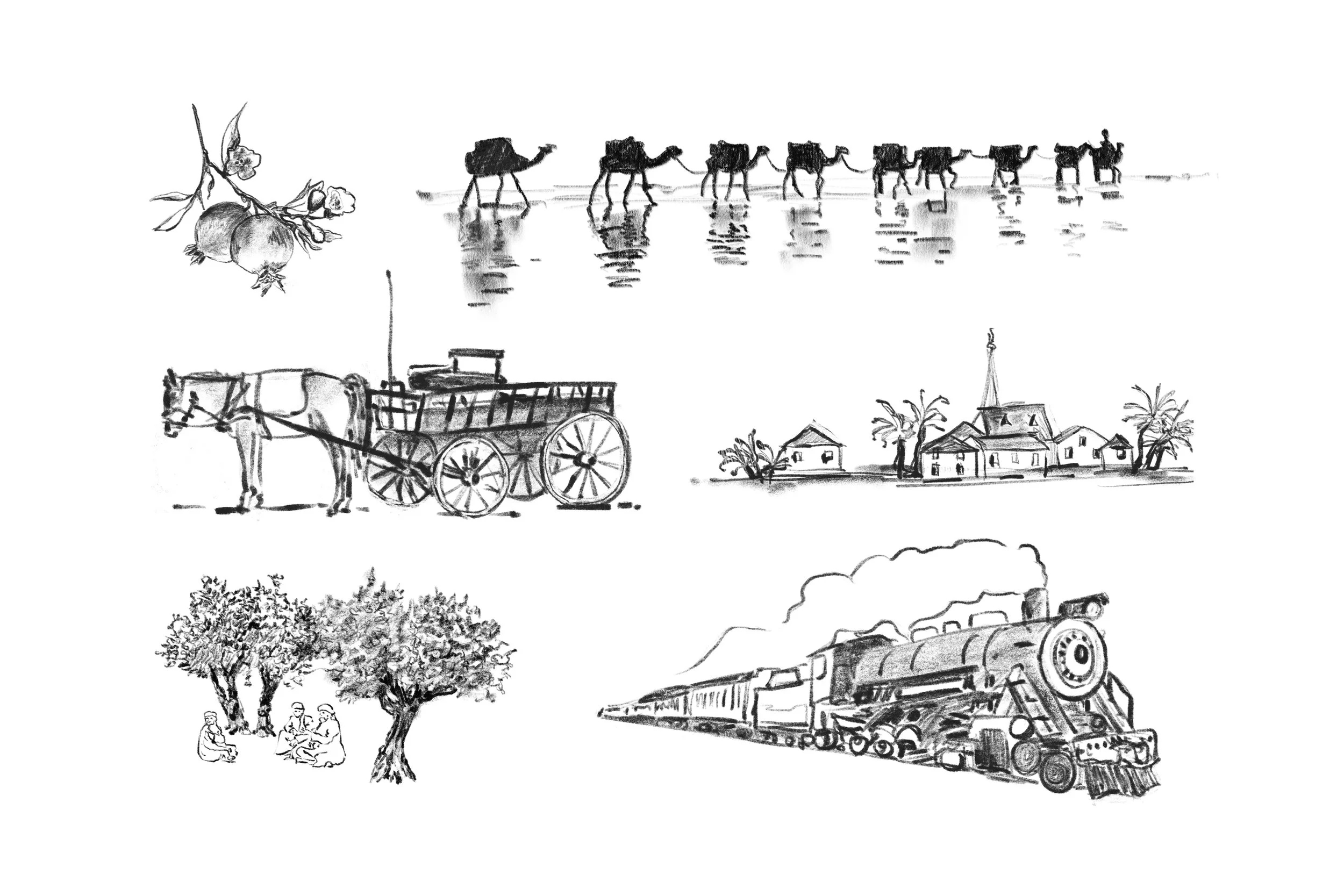 Roscher Creative illustrations for Echoes of Home depicting pomegranate branch, camels, horse and cart, settlement, olive grove with people and steam train. 