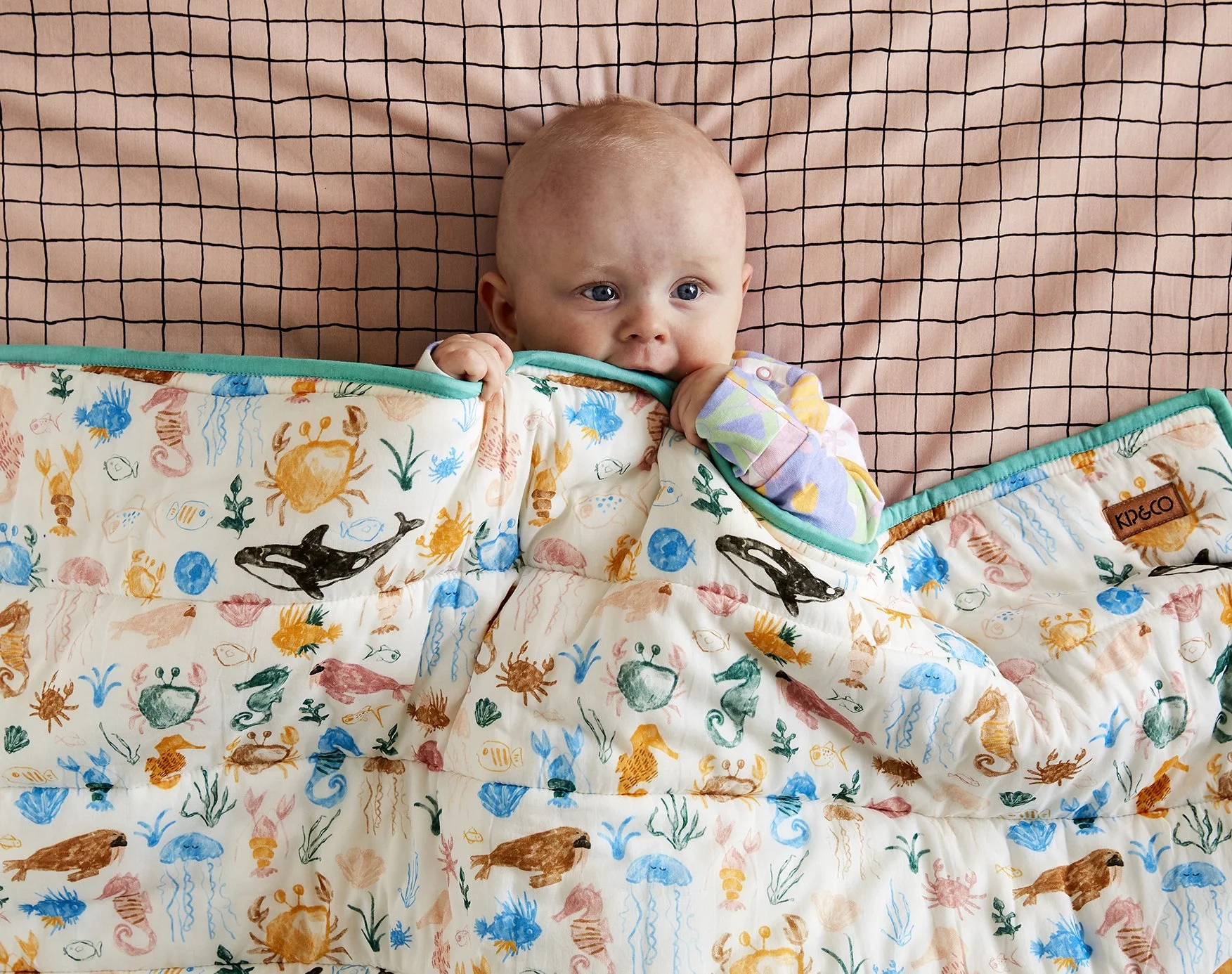 RC for Kip Underwater.jpg