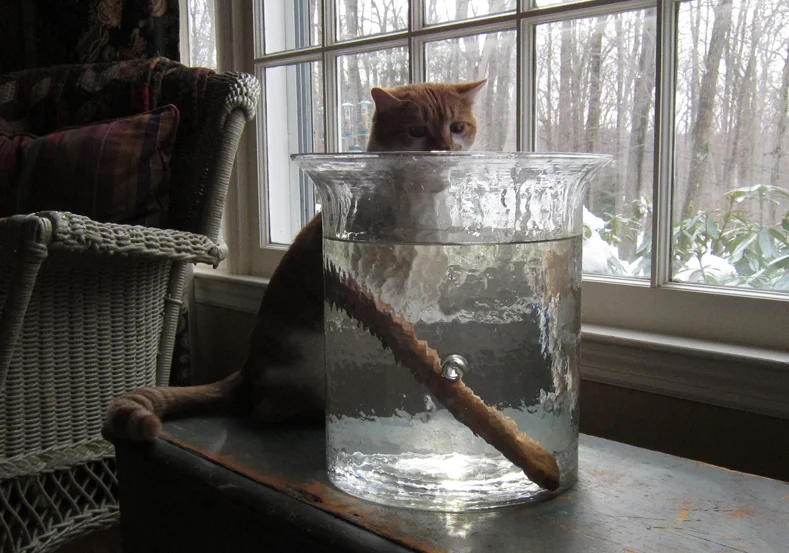 2014-02-09 charlie with the sppon water.jpg