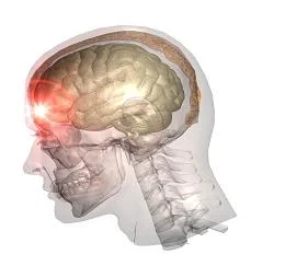 Concussion Baseline Testing
