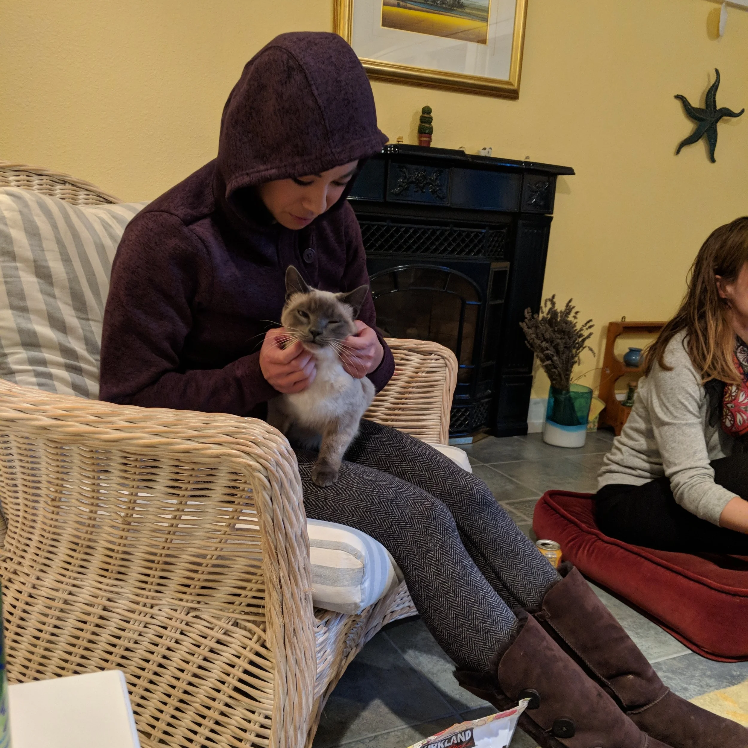 Team camp doubled as kitty camp