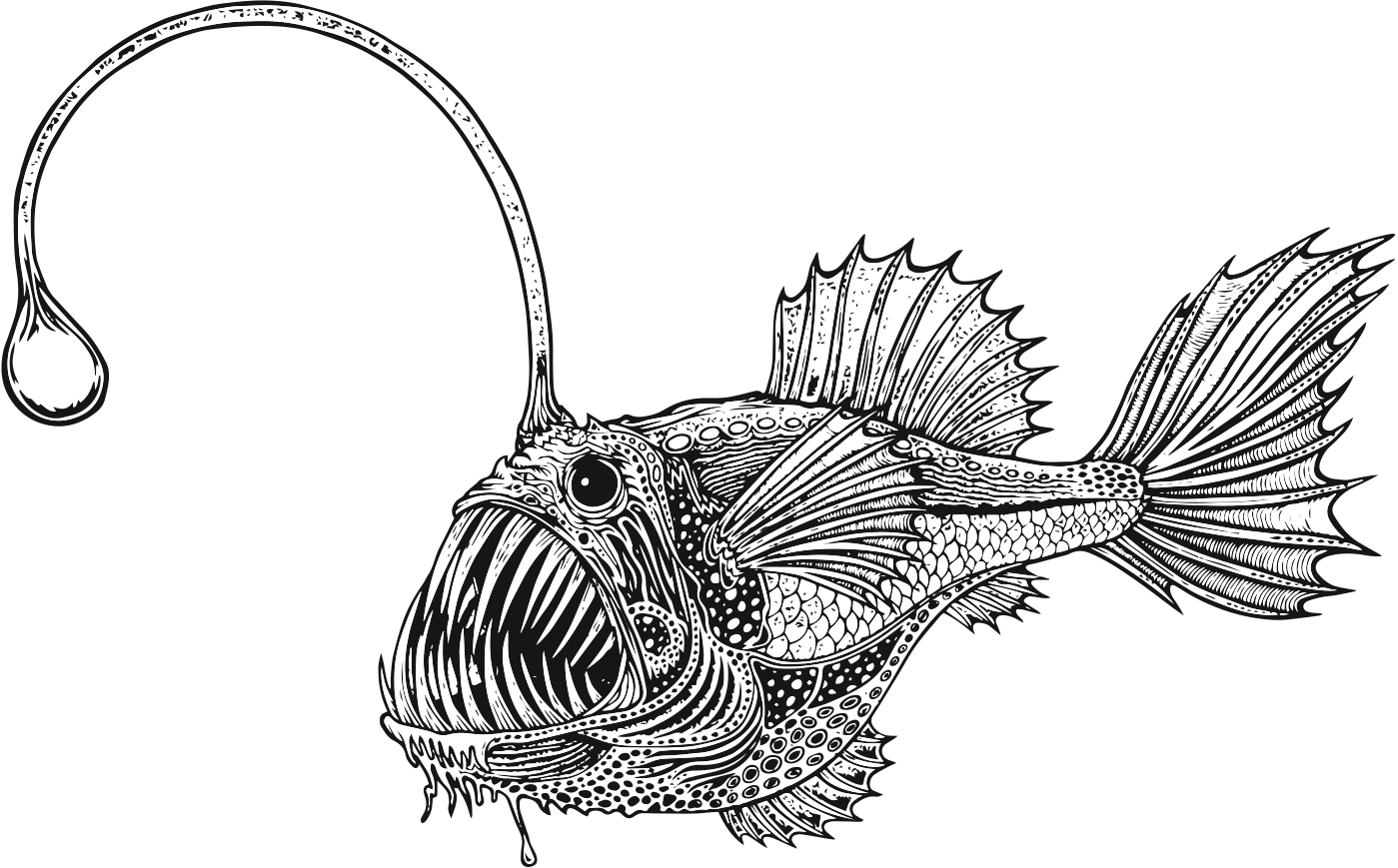 FISH ROCK: A GRAVELLY RIDE IN MENDOCINO COUNTY