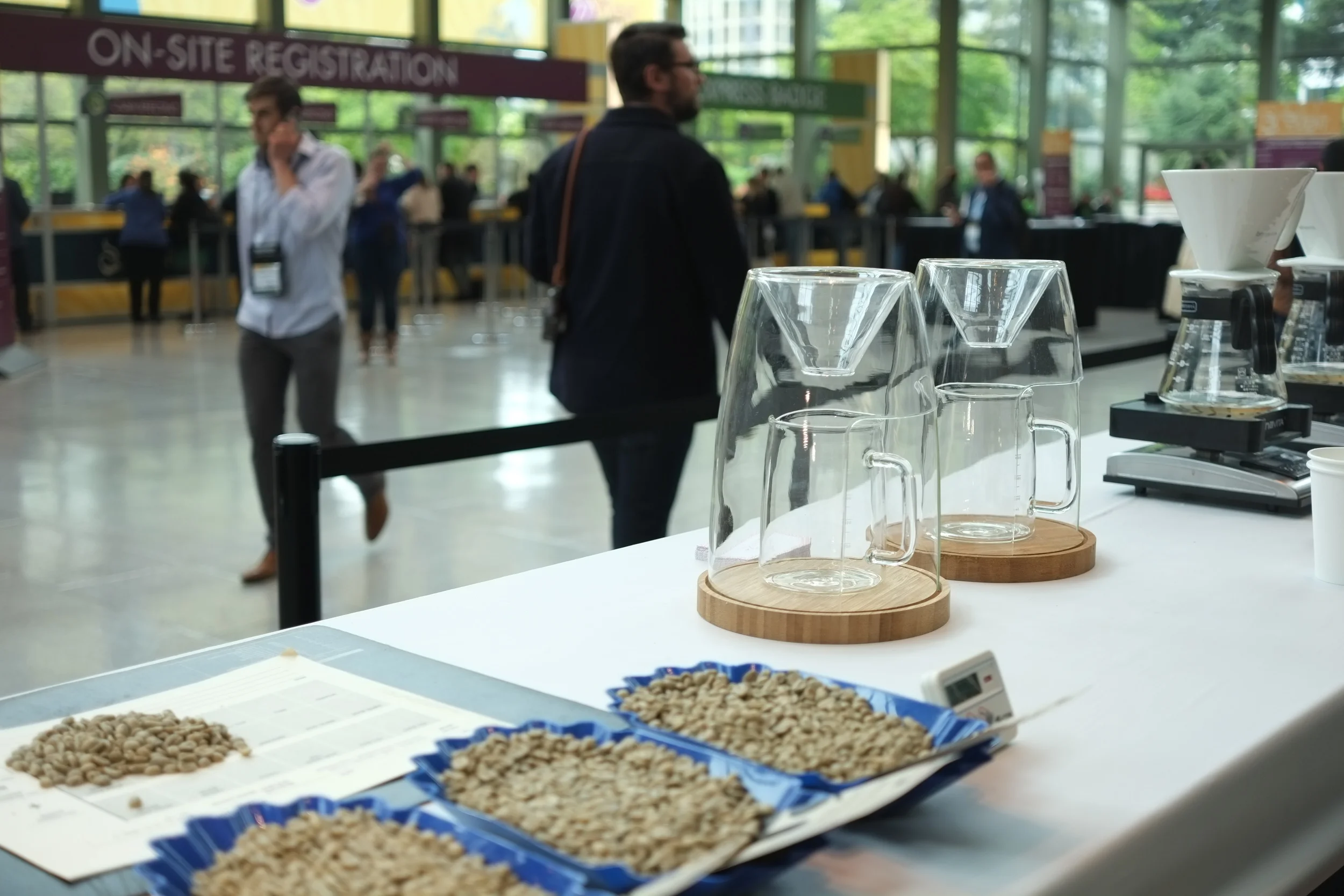 Potential Near Futures in Specialty Coffee