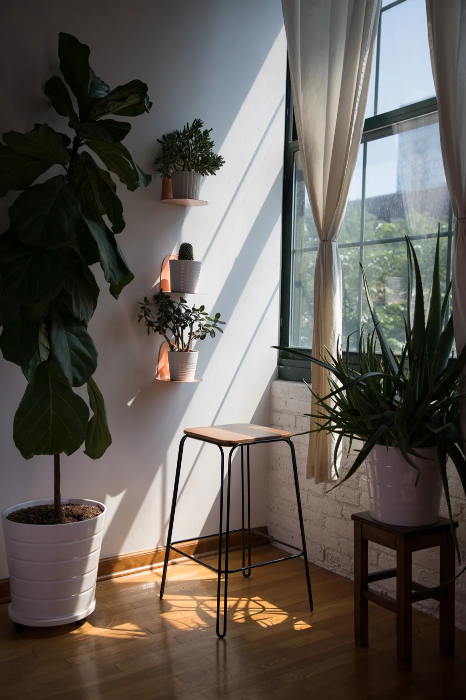 Introducing Stool Nº1