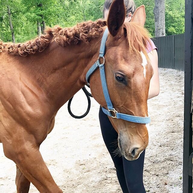 That good quarantine hair! Need curls... look what we can do 😂😂😂