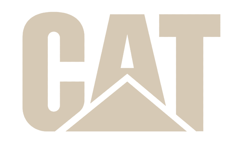 cat.png