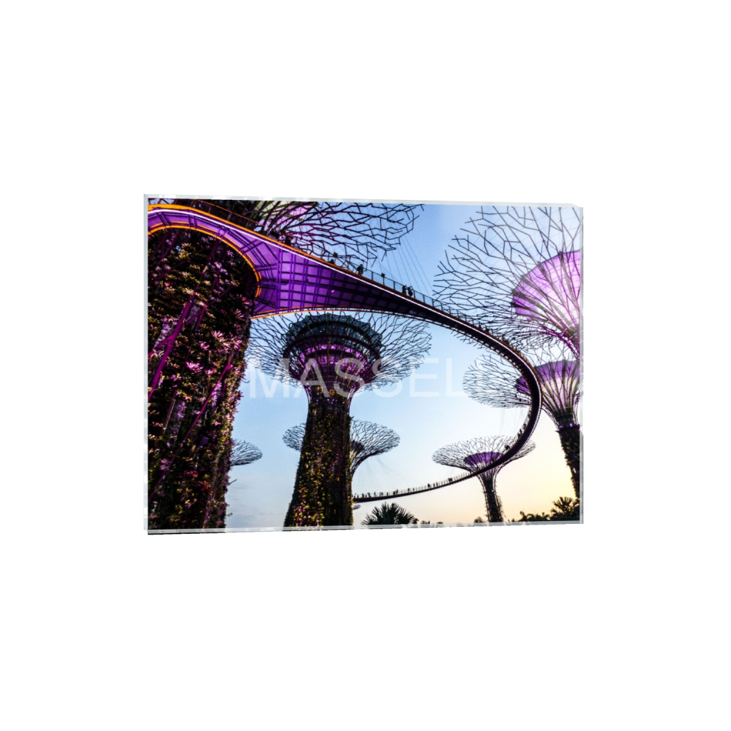 ptq_17_5_0_0_4320_3240_0_false_ffffff_0_0_ad9f8ce06f370662ff3a6db31918f97b.png