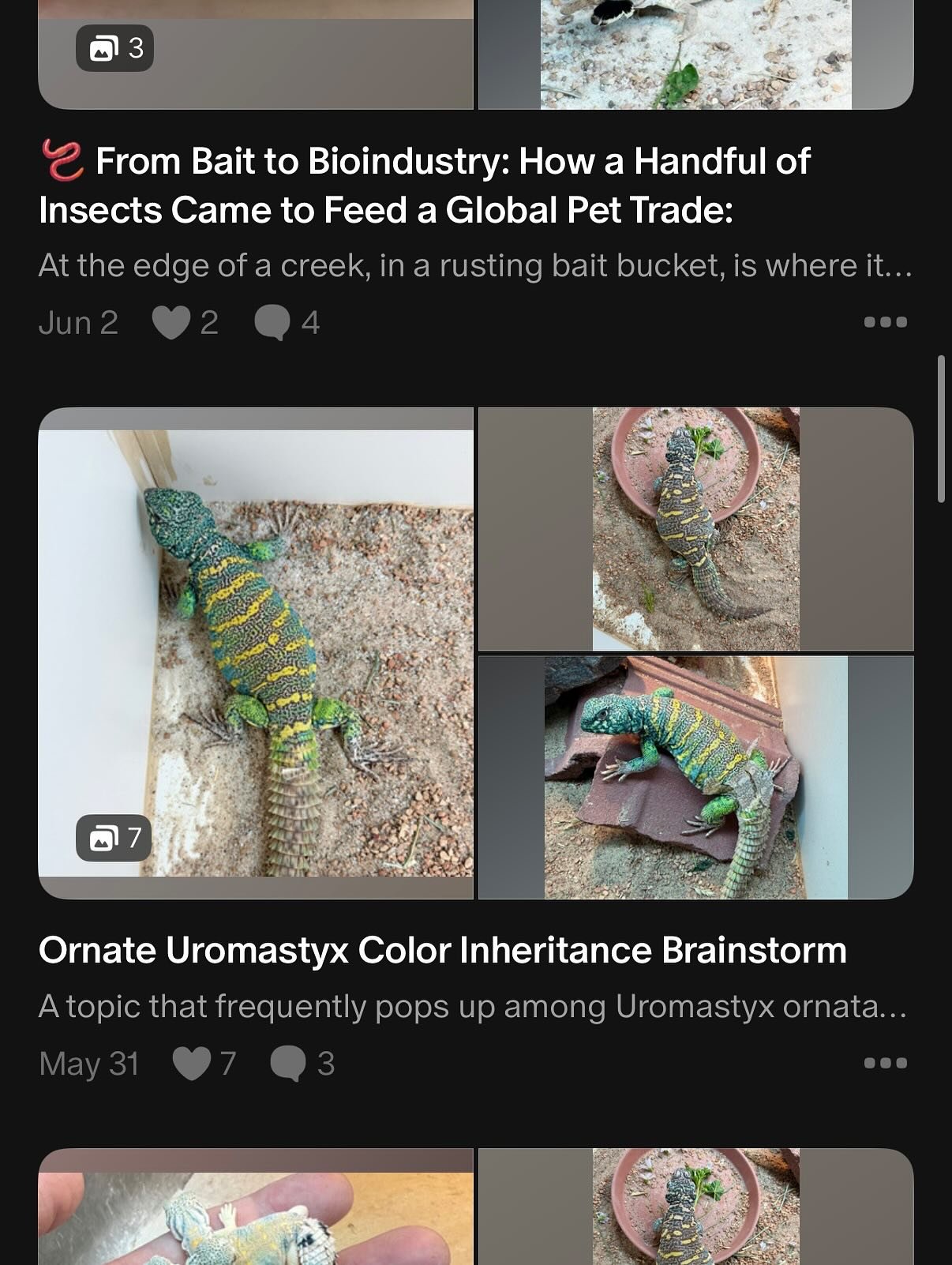I believe in doing this work the right way&mdash;slow, thoughtful, and transparent. My project has grown because of people like you. If you value the work I do&mdash;sharing insights, pushing standards, and building something meaningful in Herpetocul