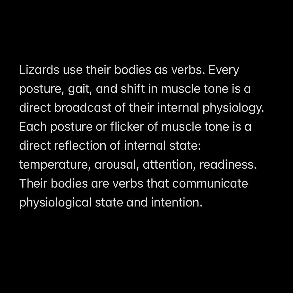 Thoughtful Herpetoculture. #aridsonly #lizards #geckos #reptiles #turtles #tortoises #snakes #frogs #toads #herpetoculture