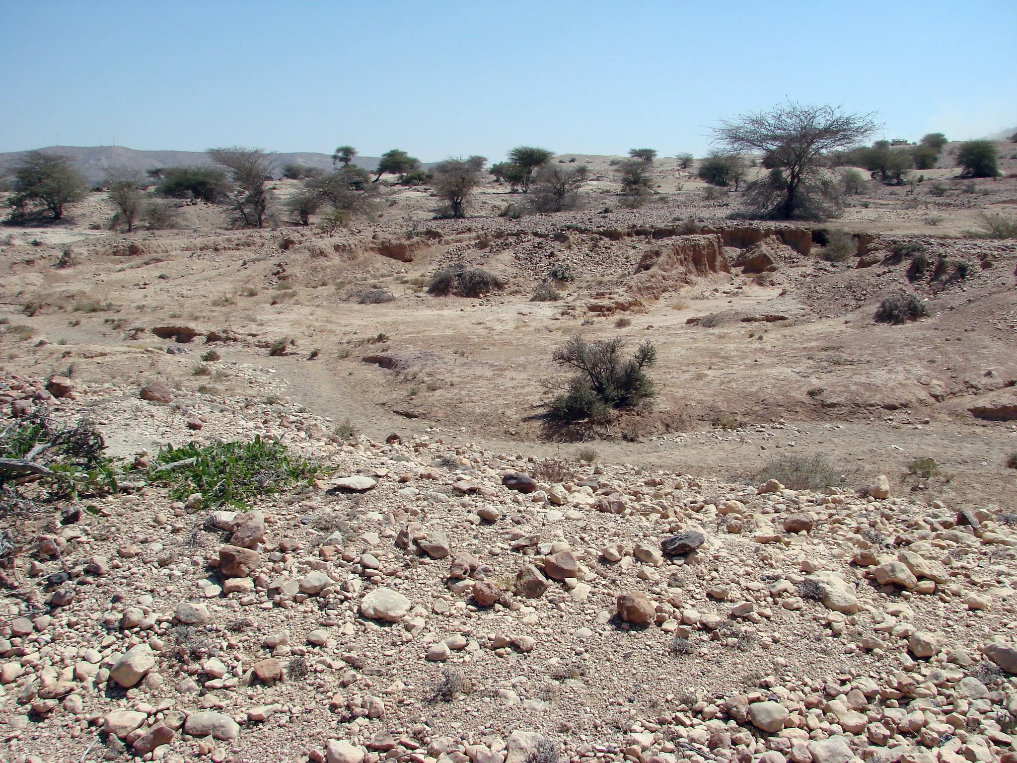 Arid desert landscape with sparse bushes, trees, and rocky terrain under a clear blue sky.