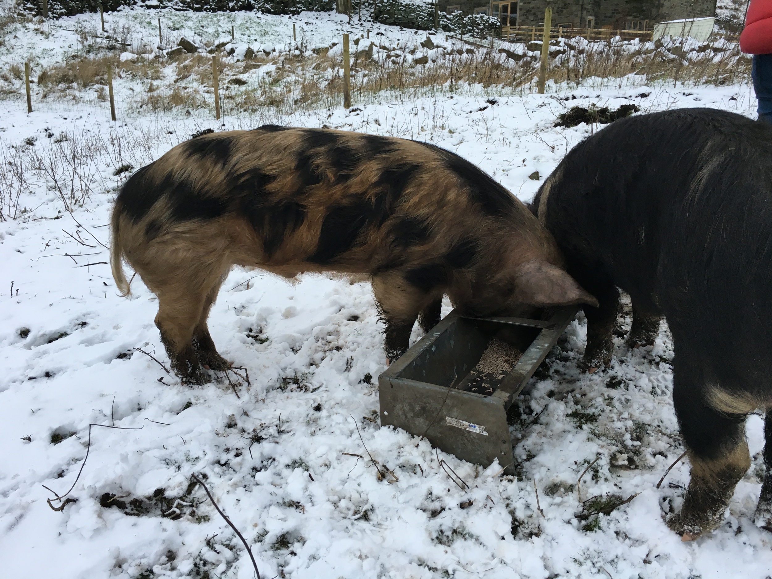 Kevin, on the left, and Ray having breakfast.
