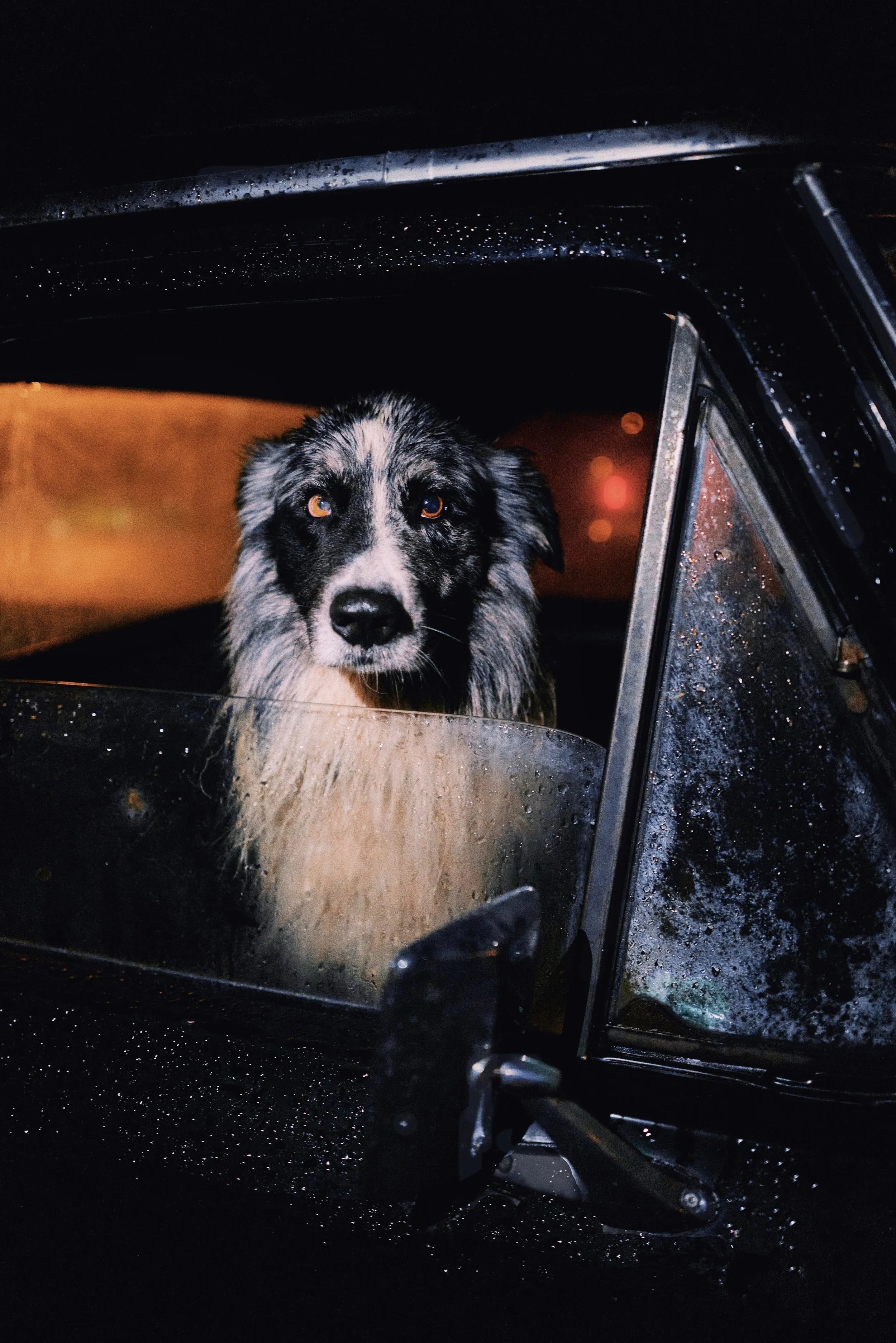 L1012725%20copy_VSCO_VSCO_VSCO copy1.JPEG