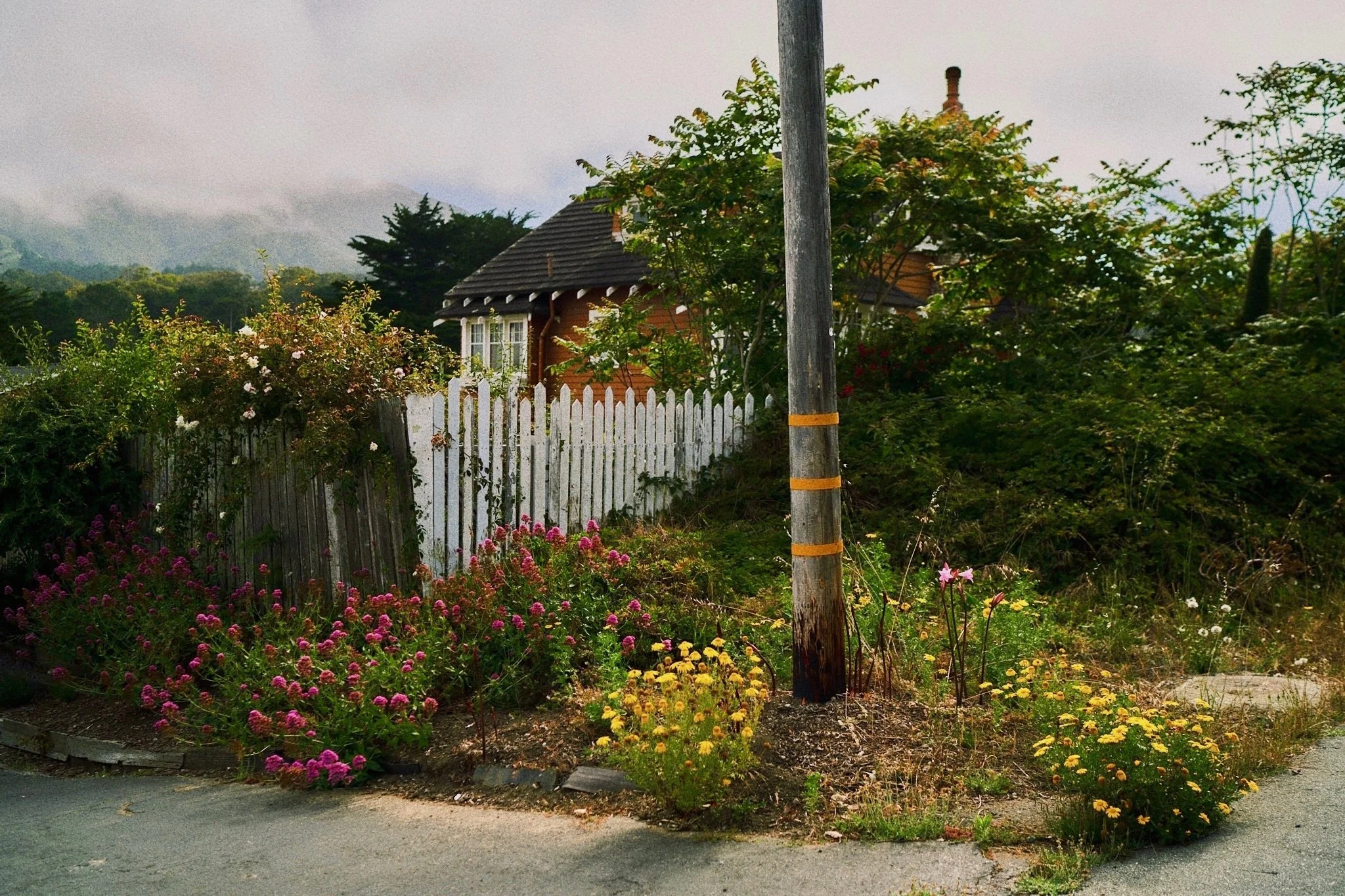 05AB2B4B-9A60-45DA-92F1-C0D1F9C5BB22_VSCO.jpg