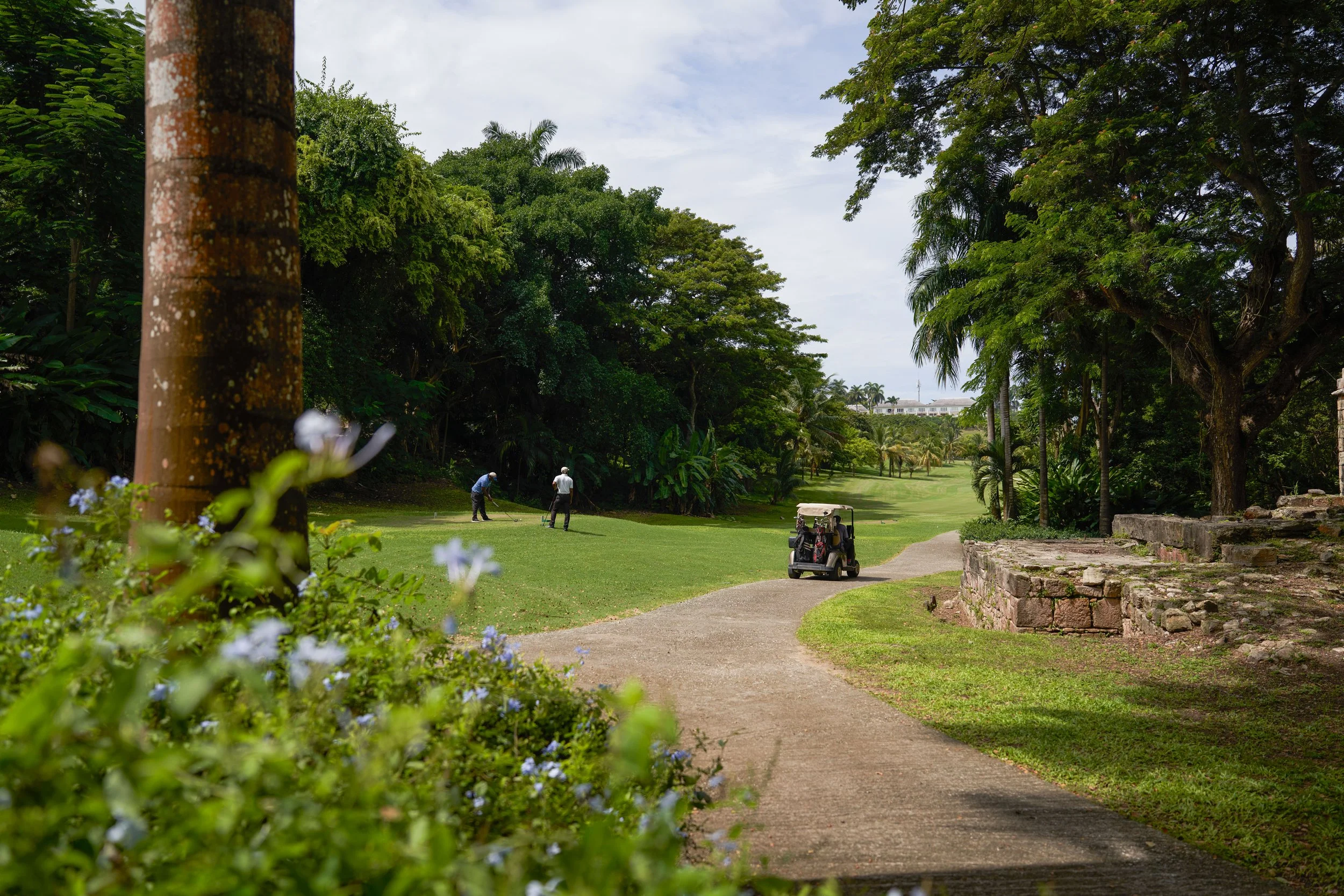jamaica-11.jpg